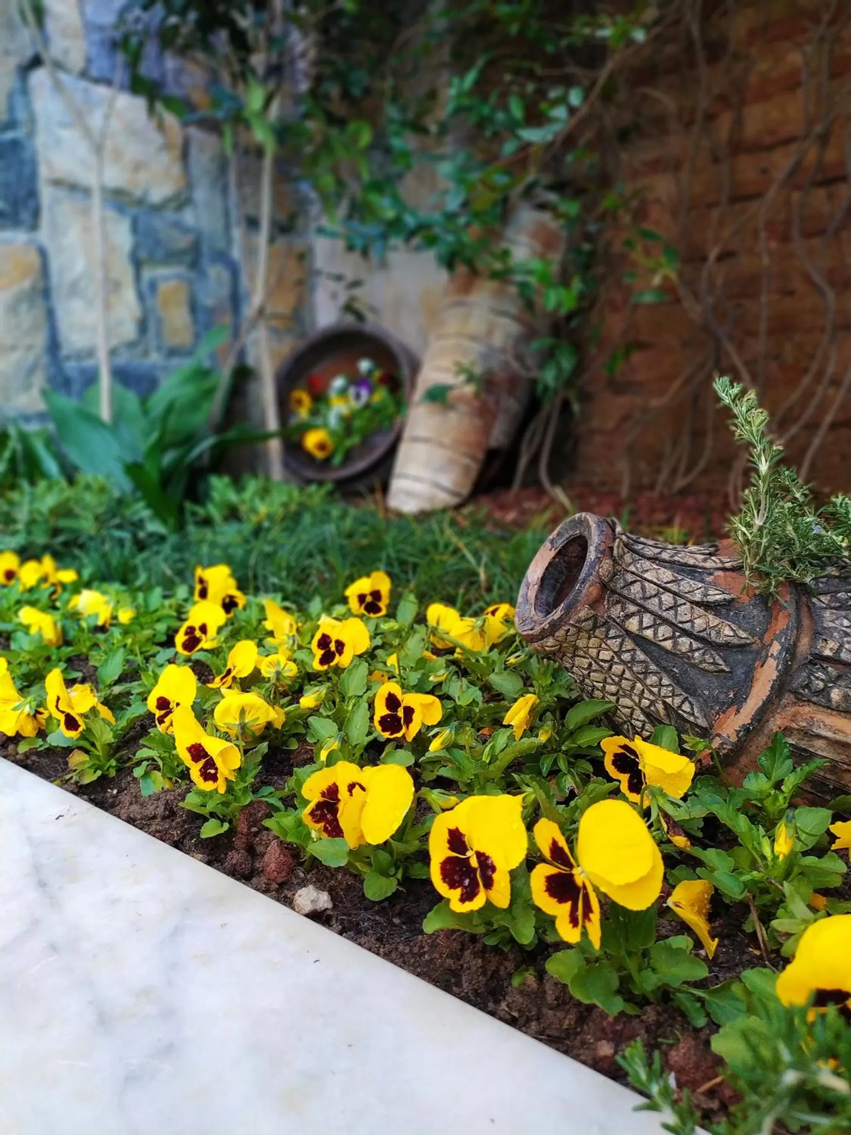 Garden in Antea Palace Hotel & Spa