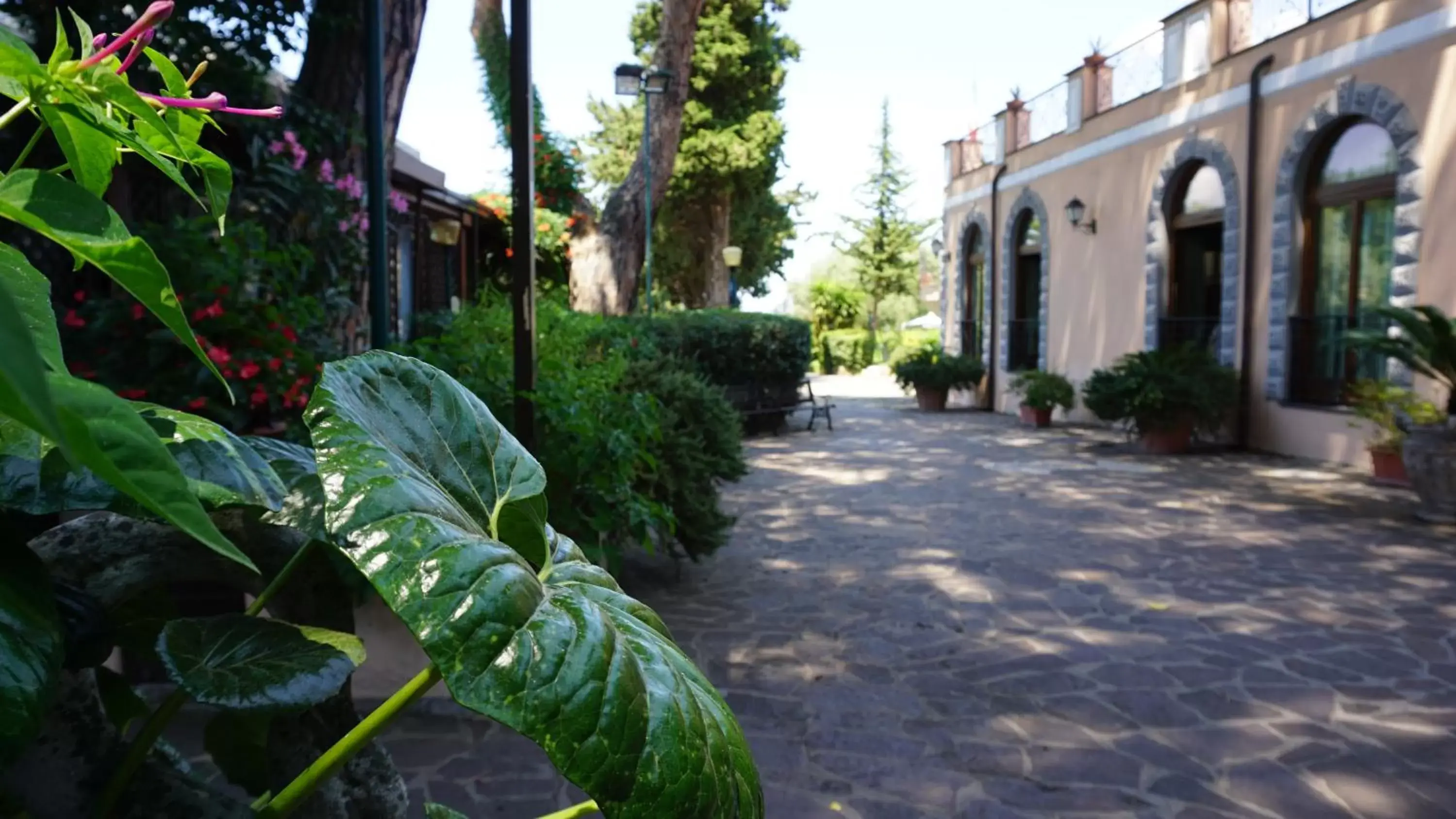 Bird's eye view in Villa Icidia