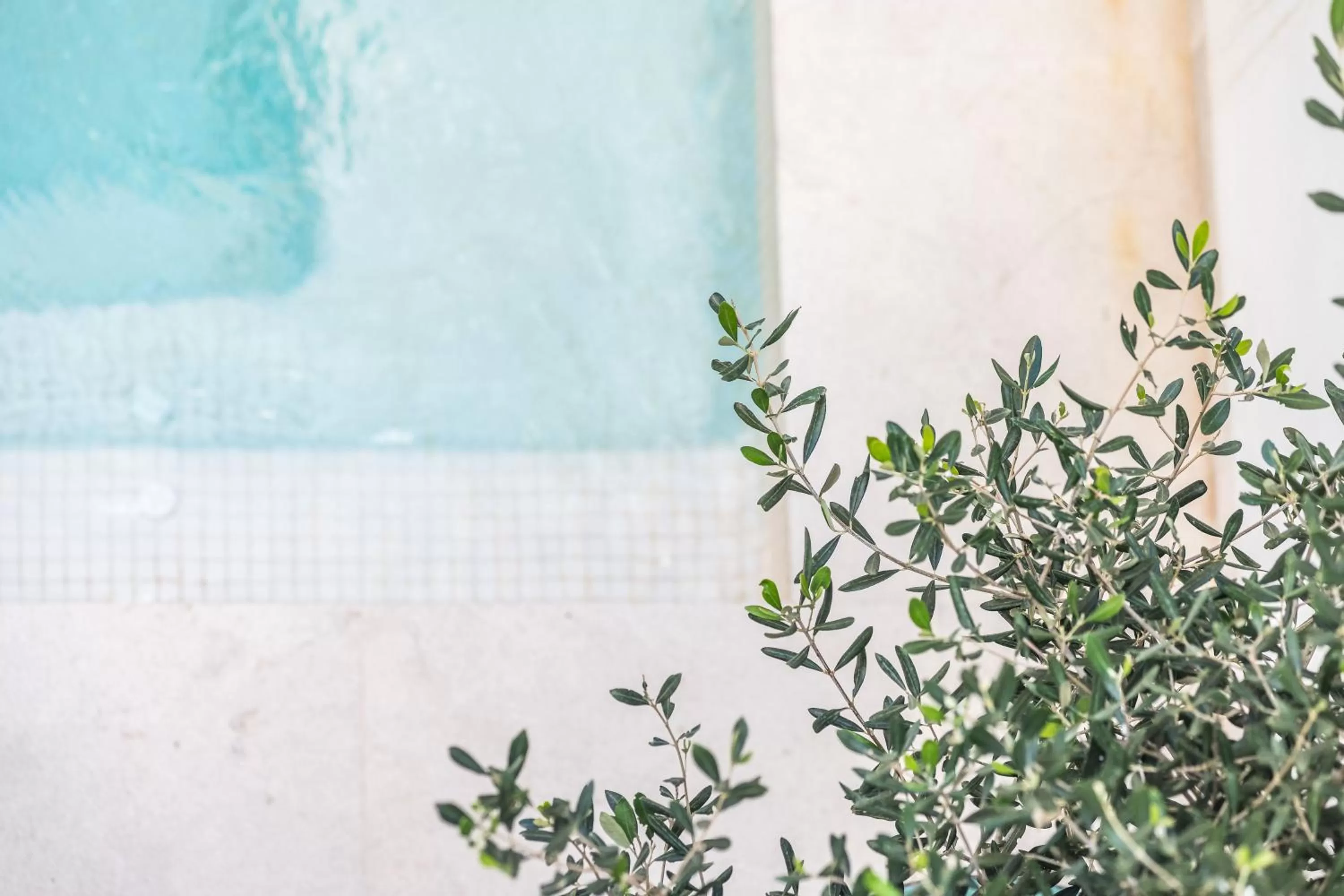 Swimming pool in Bordoy Mostatxins - Hotel Boutique Adults Only