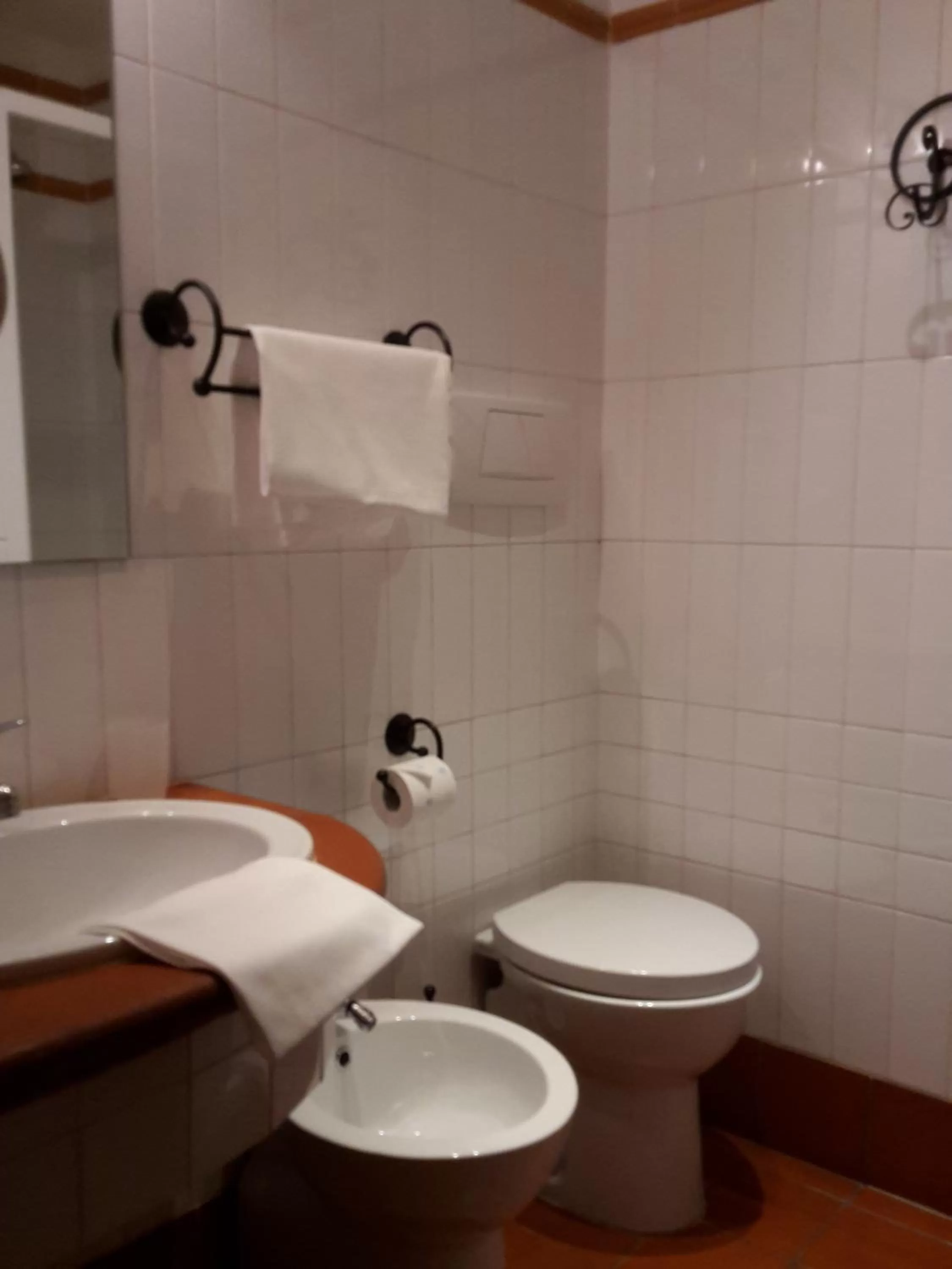 Toilet in Hotel Al SanPietrino