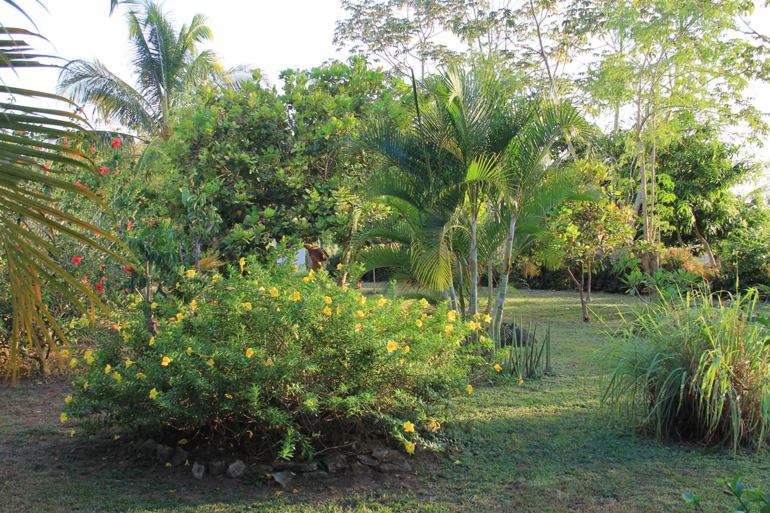 Cabañas La Casa de Pucha