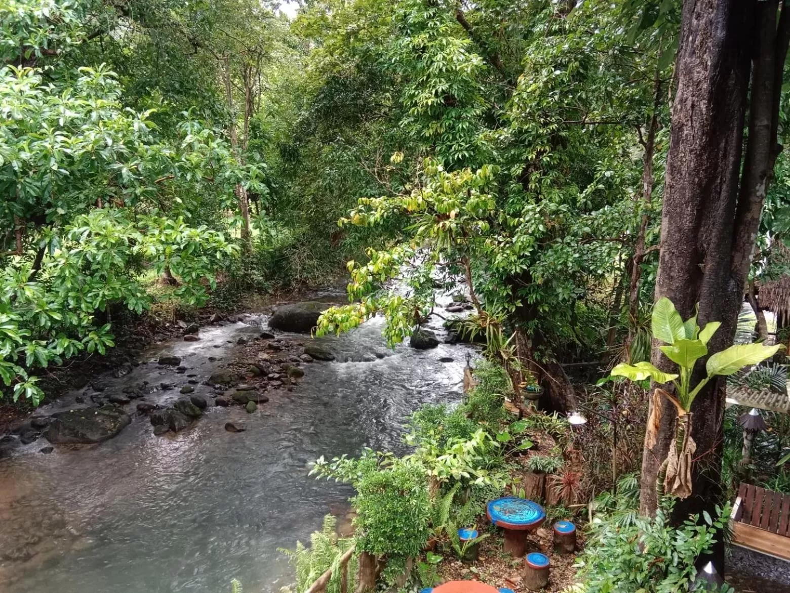 Tree Tops River Huts