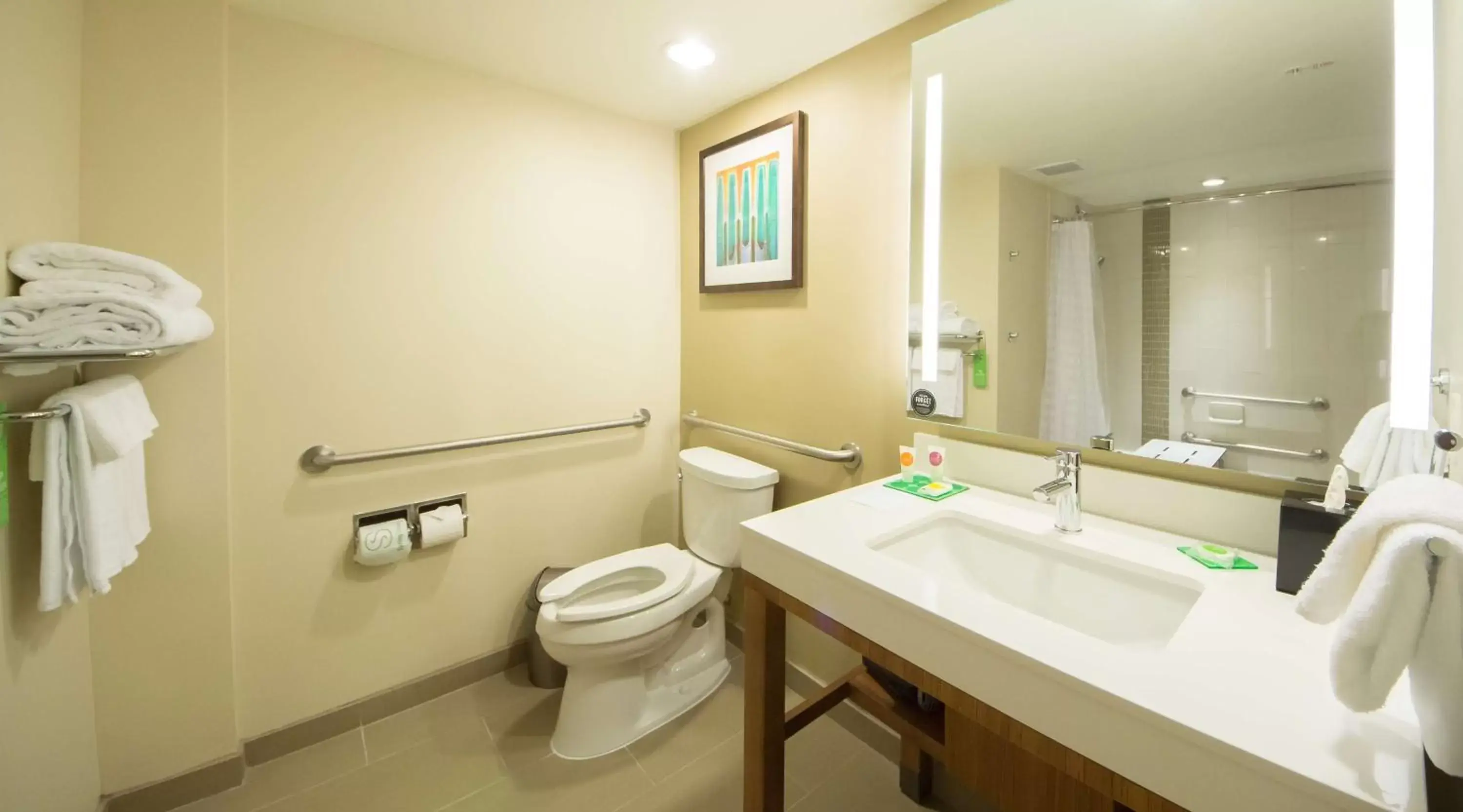 Bathroom in Hyatt Place Orlando/Lake Buena Vista