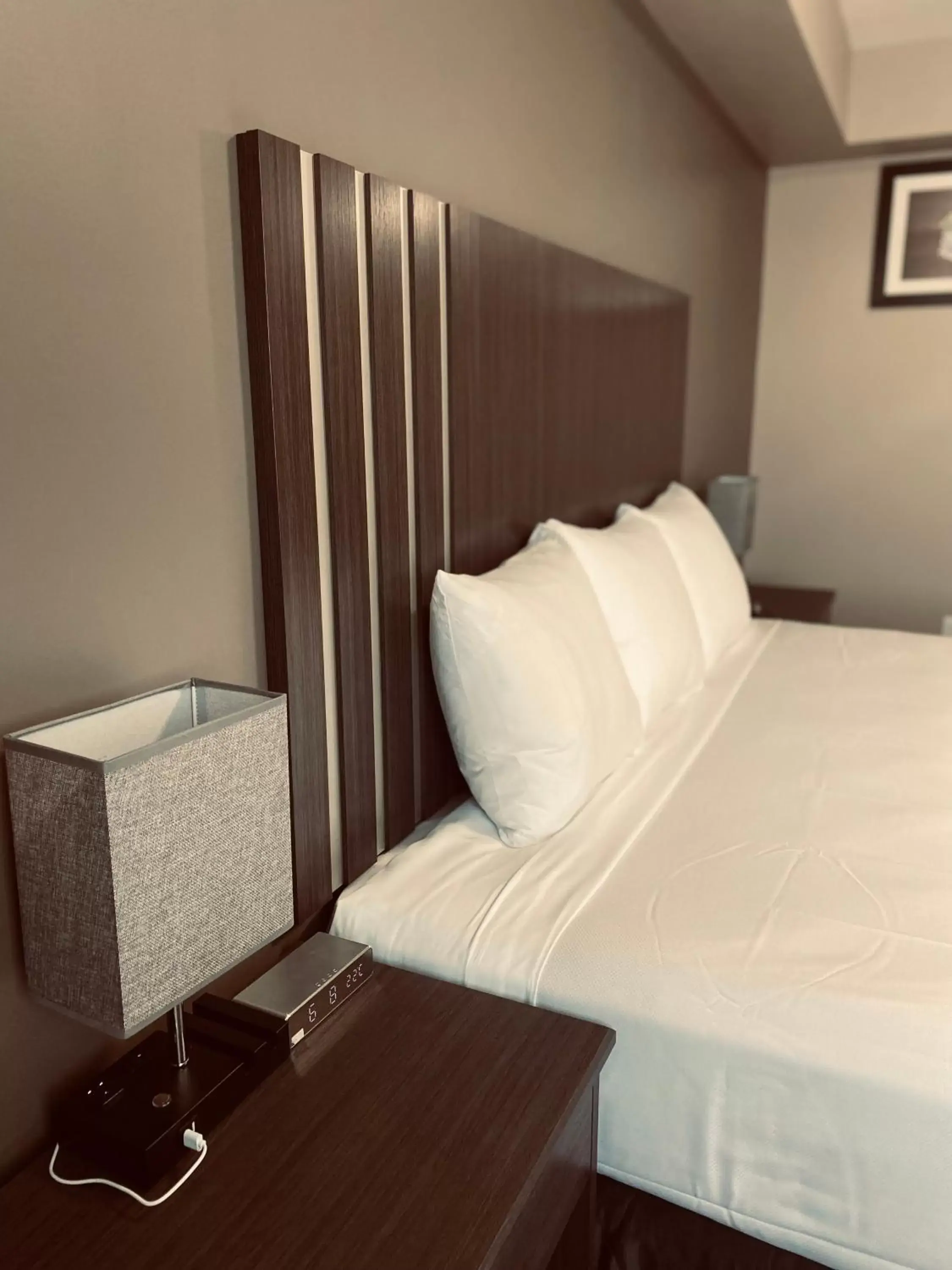Bed in Econo Lodge City Centre Inn
