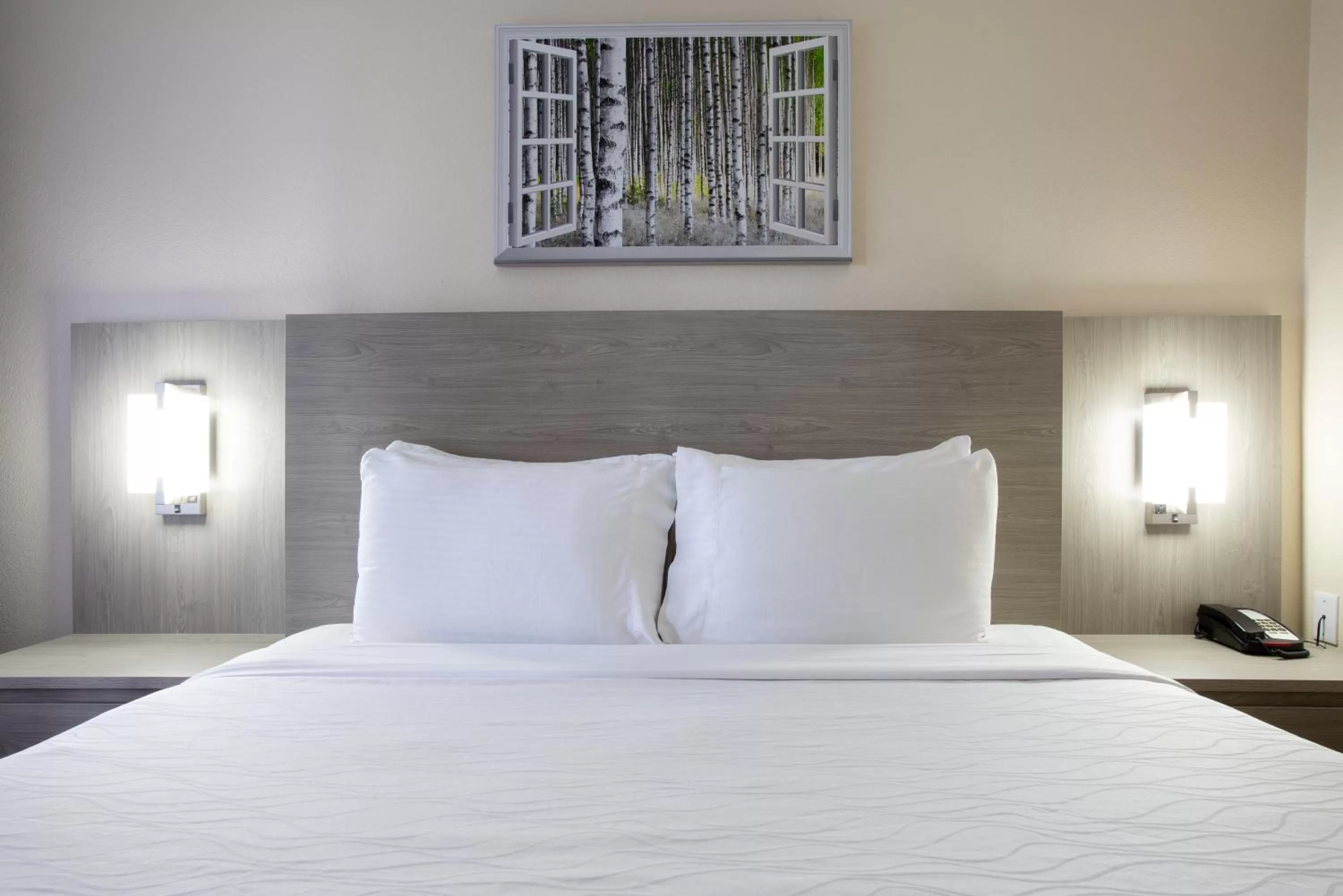 Bed in Hotel Aspen Flagstaff/ Grand Canyon InnSuites