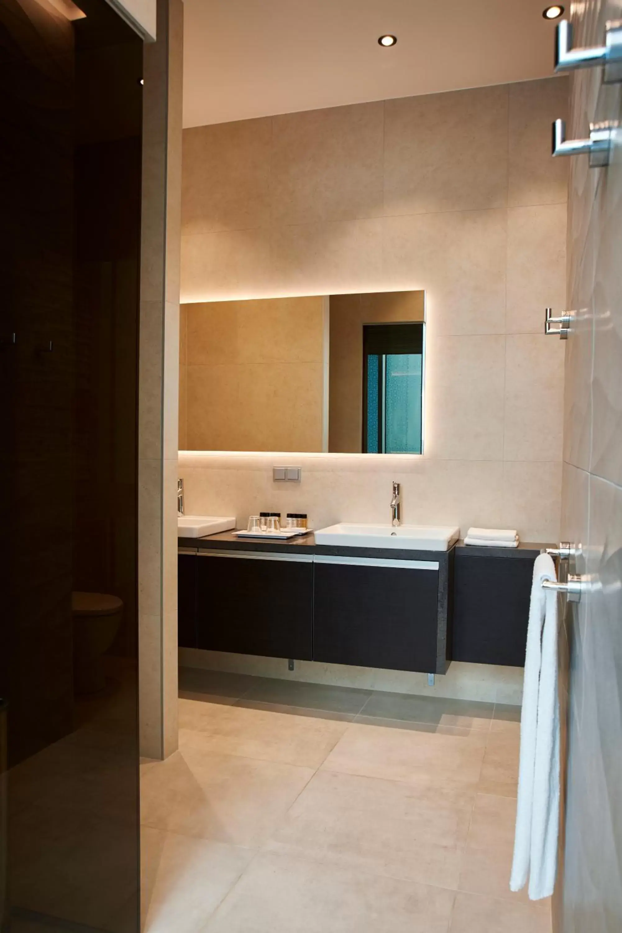 Bathroom, Kitchen/Kitchenette in Tallink Spa & Conference Hotel