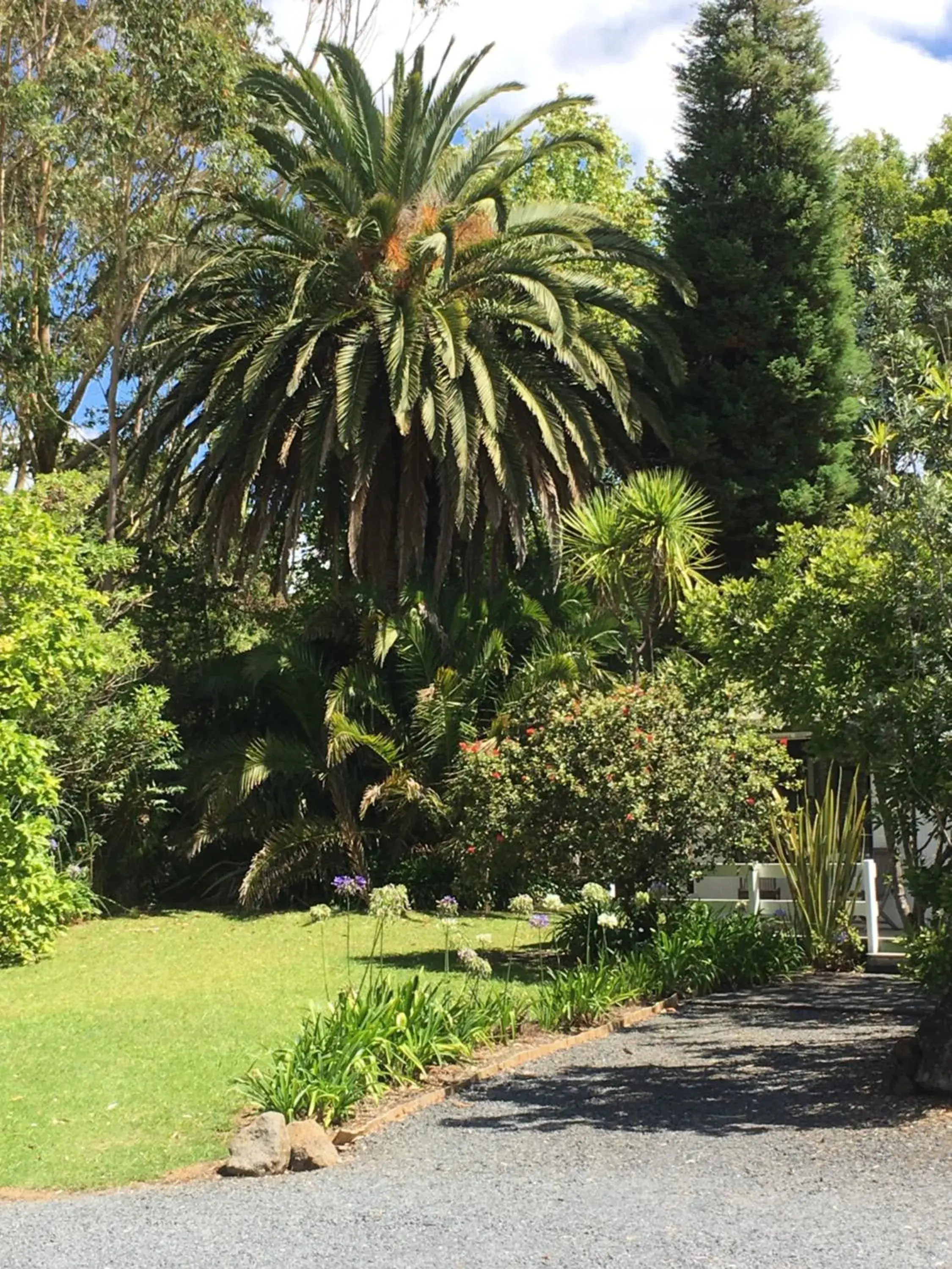 Garden in Colonial House Motel