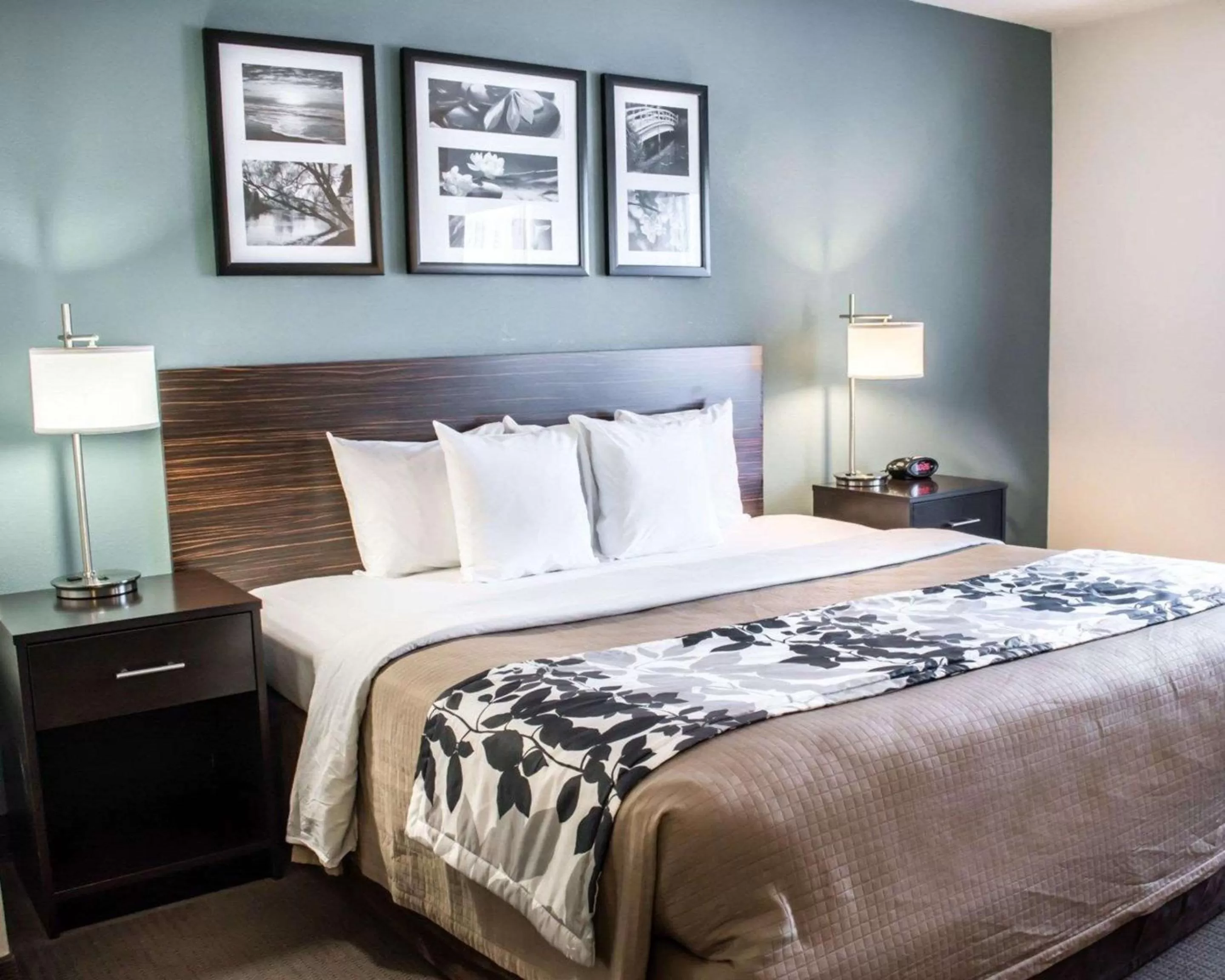 Photo of the whole room, Bed in Sleep Inn & Suites Monticello