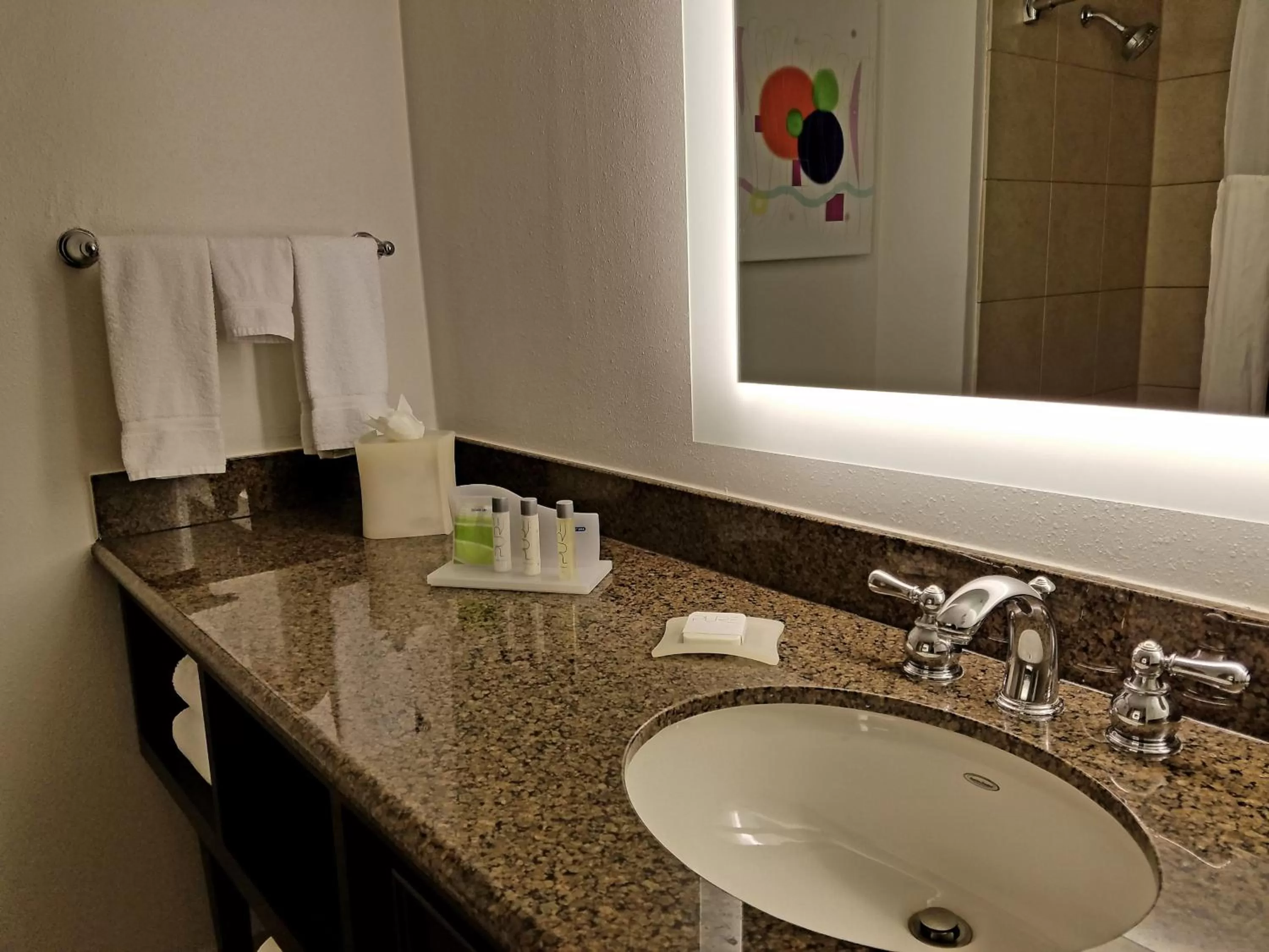 Bathroom in Holiday Inn Irving Las Colinas by IHG