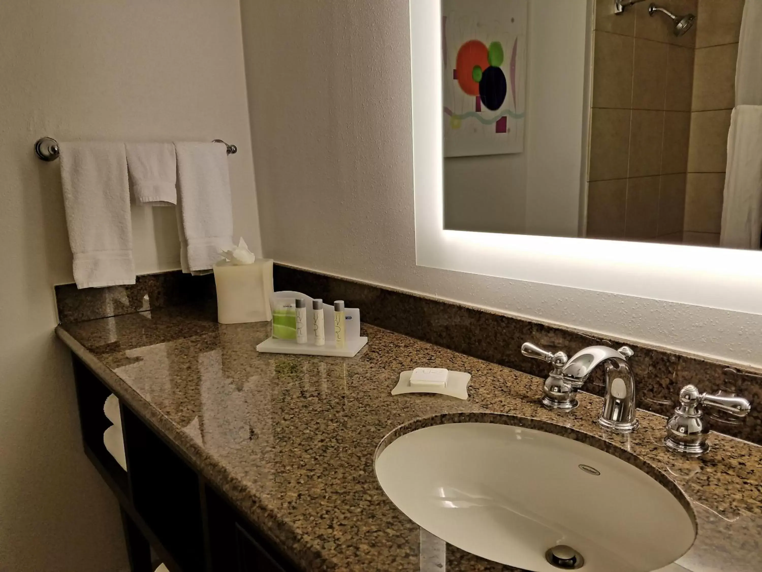 Bathroom in Holiday Inn Irving Las Colinas, an IHG Hotel