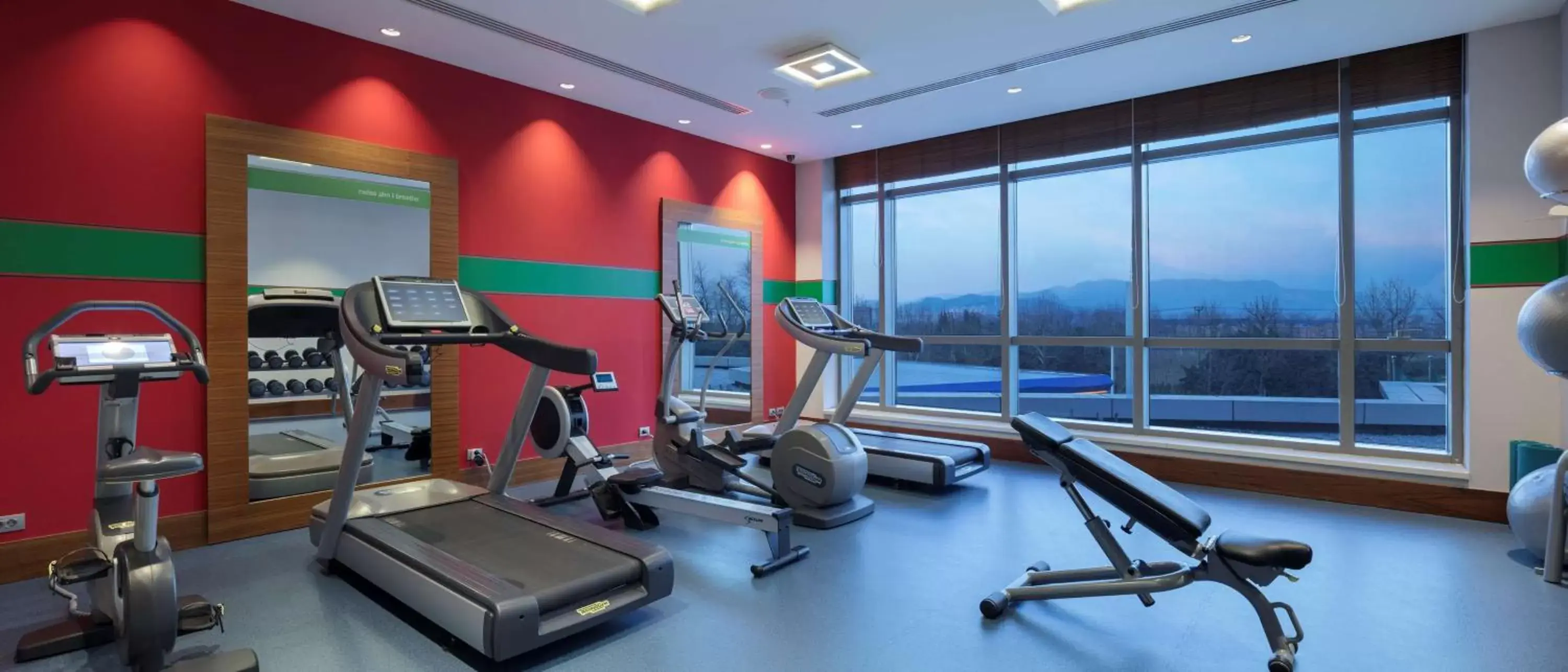 Fitness centre/facilities, Fitness Center/Facilities in Hampton By Hilton Bursa