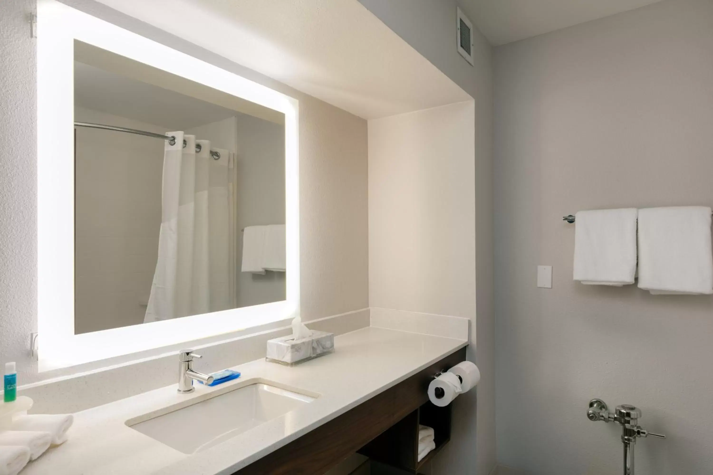 Photo of the whole room, Bathroom in Holiday Inn Express & Suites Milton East I-10, an IHG Hotel