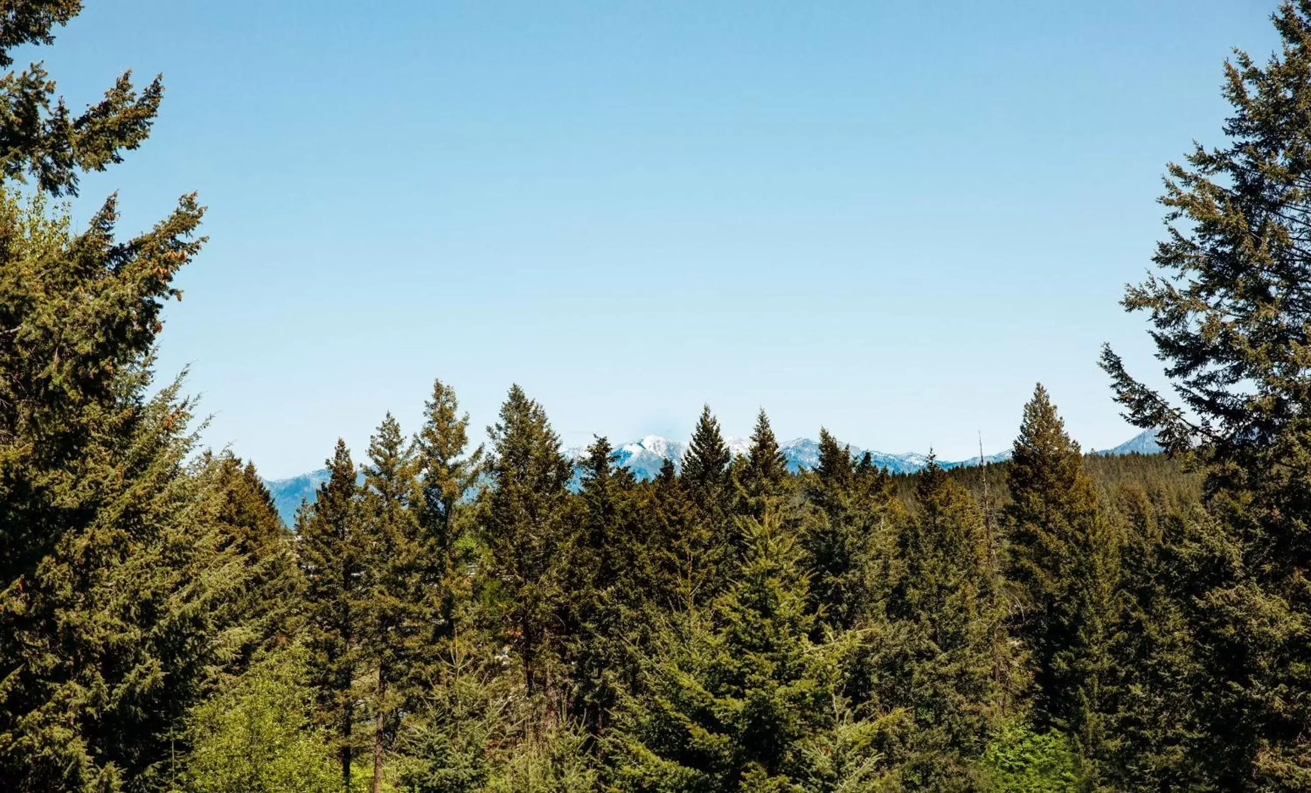 Natural landscape in Timbers Motel