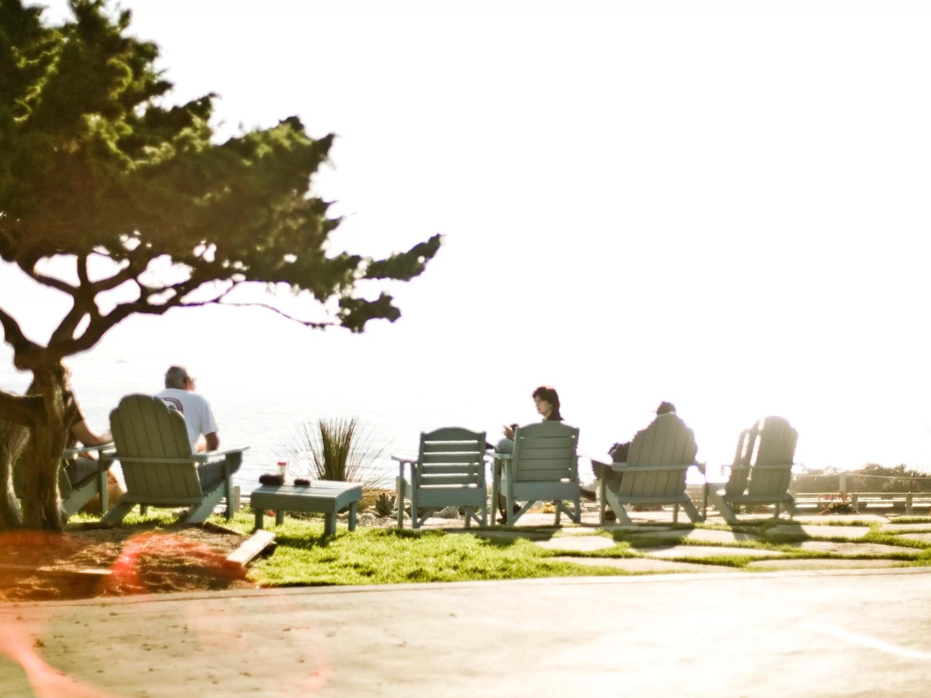 Garden view in Cambria Shores Inn