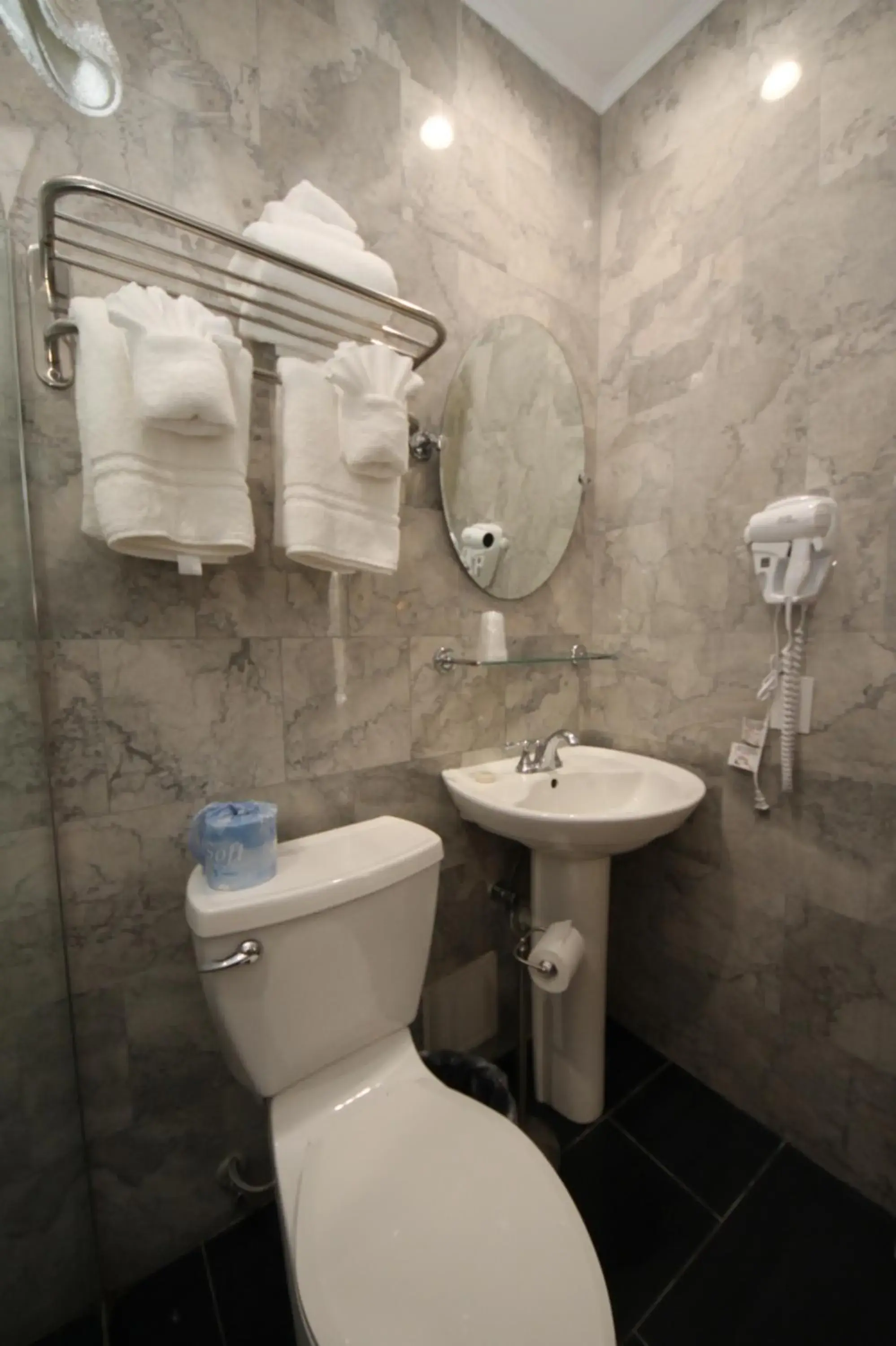 Toilet, Bathroom in Hyde Park Hotel