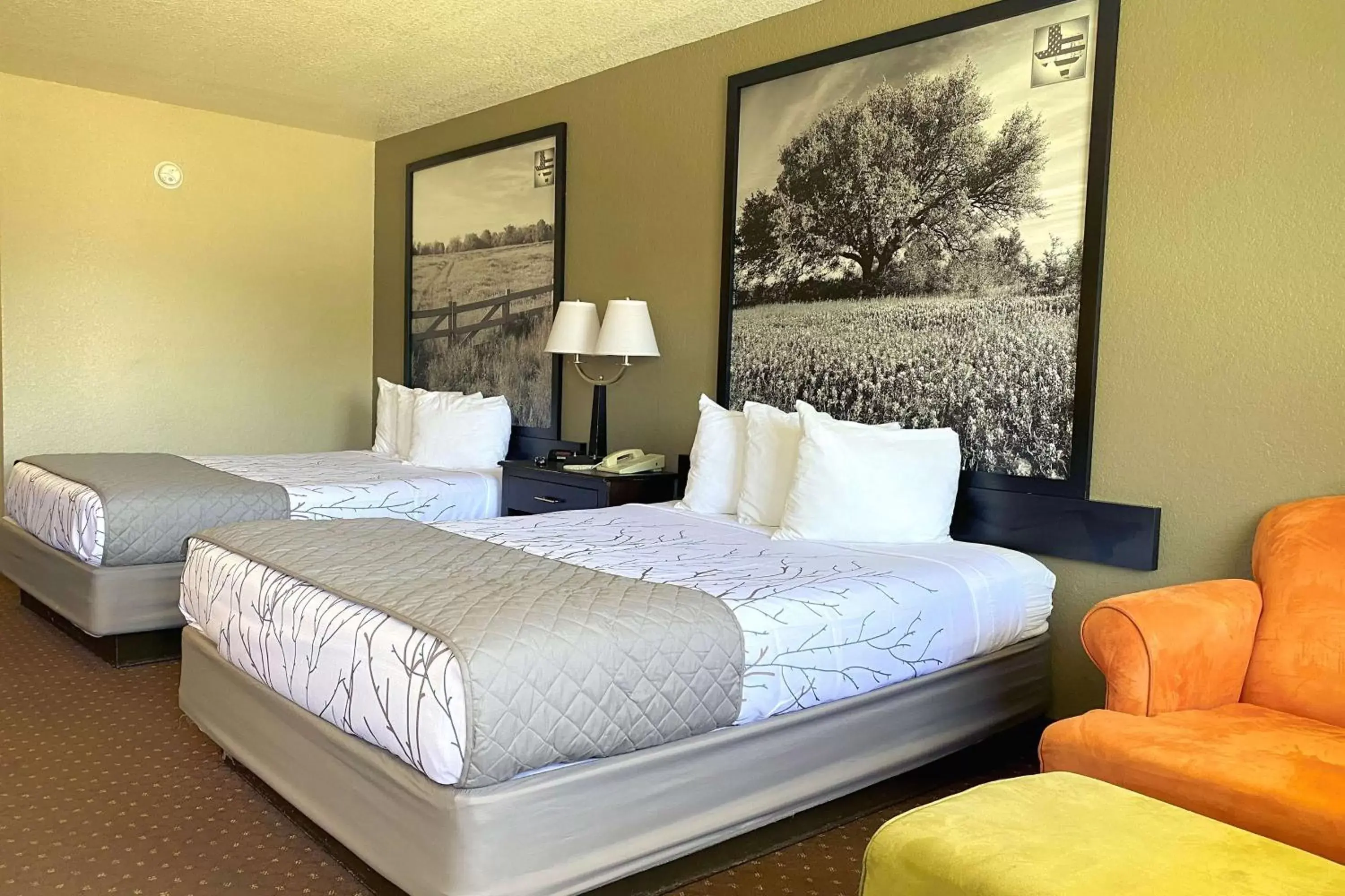 Photo of the whole room, Bed in SureStay Hotel by Best Western New Braunfels