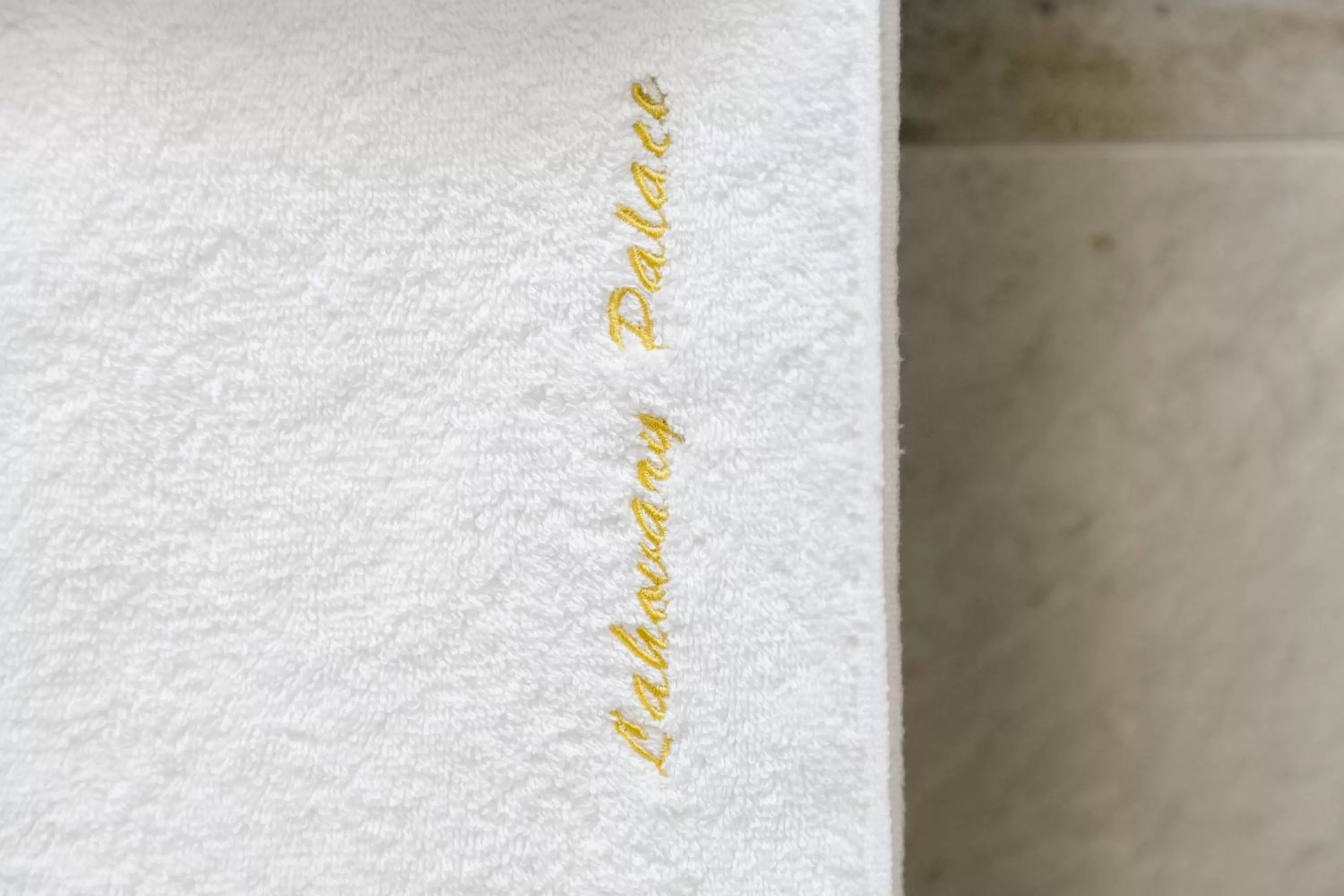 Property logo or sign in Lahovary Palace Hotel