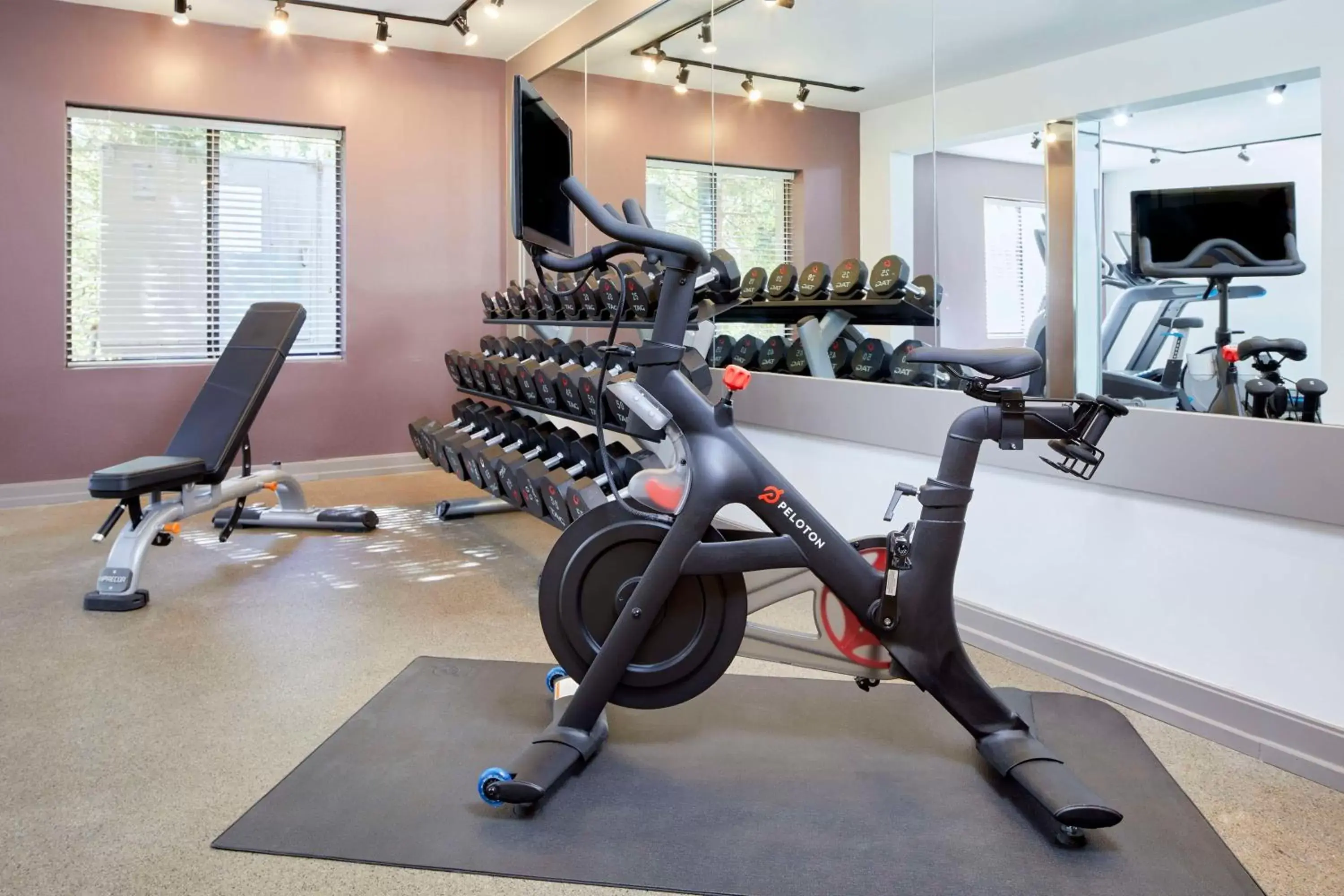 Fitness centre/facilities in DoubleTree by Hilton Atlanta Alpharetta-Windward Fitness centre/facilities in DoubleTree by Hilton Atlanta Alpharetta-Windward