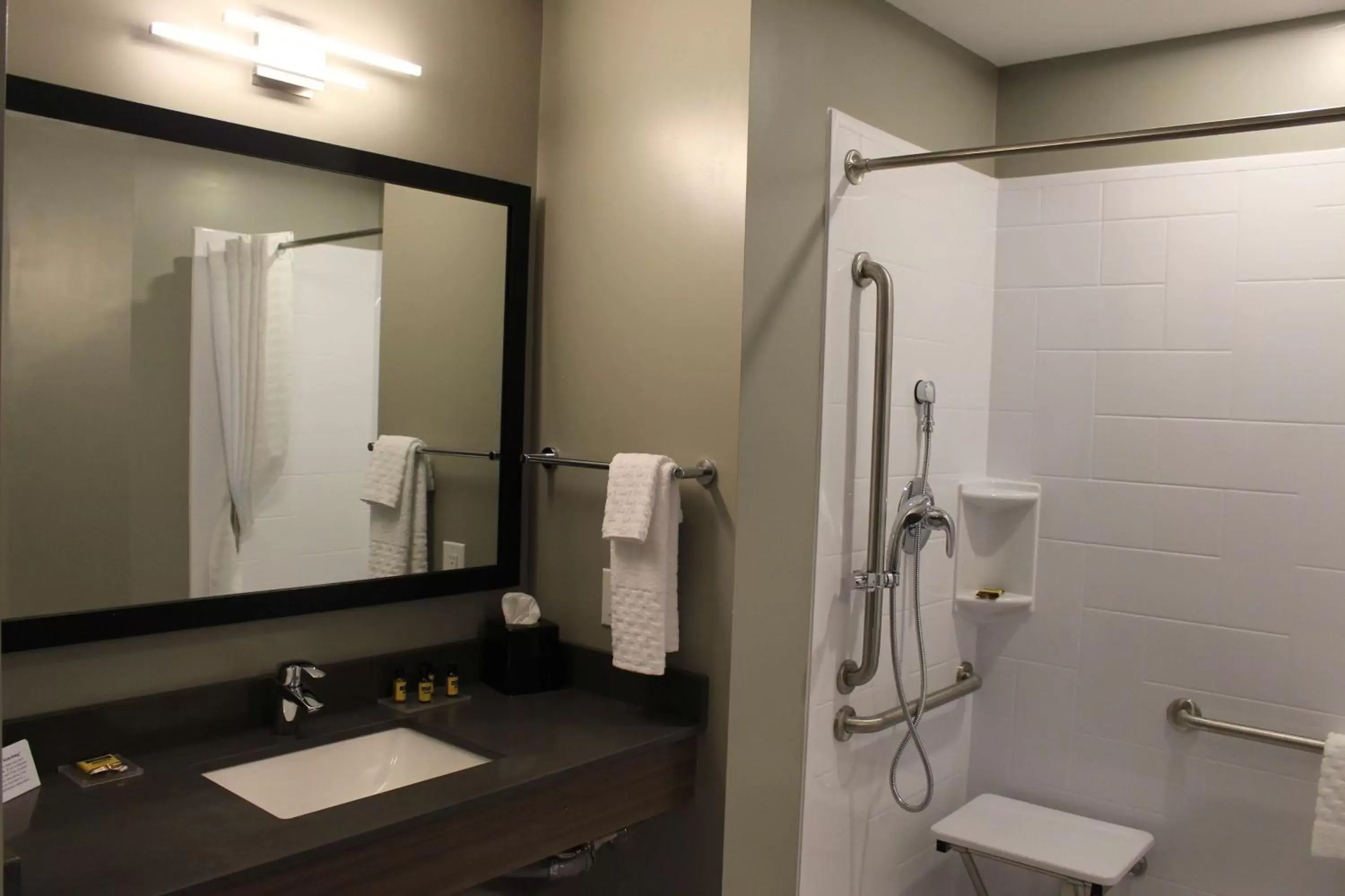 Bathroom in Best Western Plus Dauphin