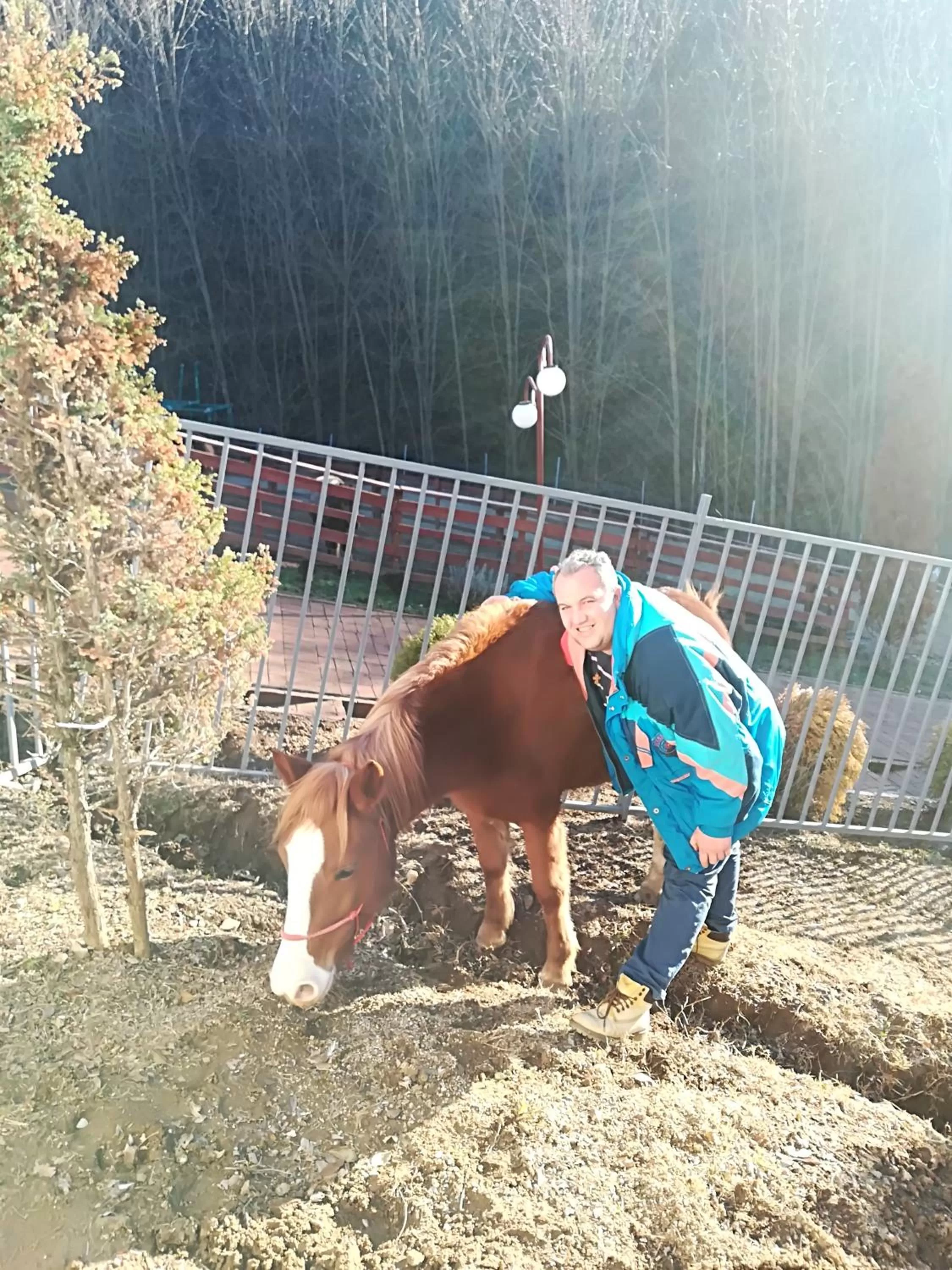 Animals in Etno selo Vile Jefimija, selo Preobrazenje, Vranje