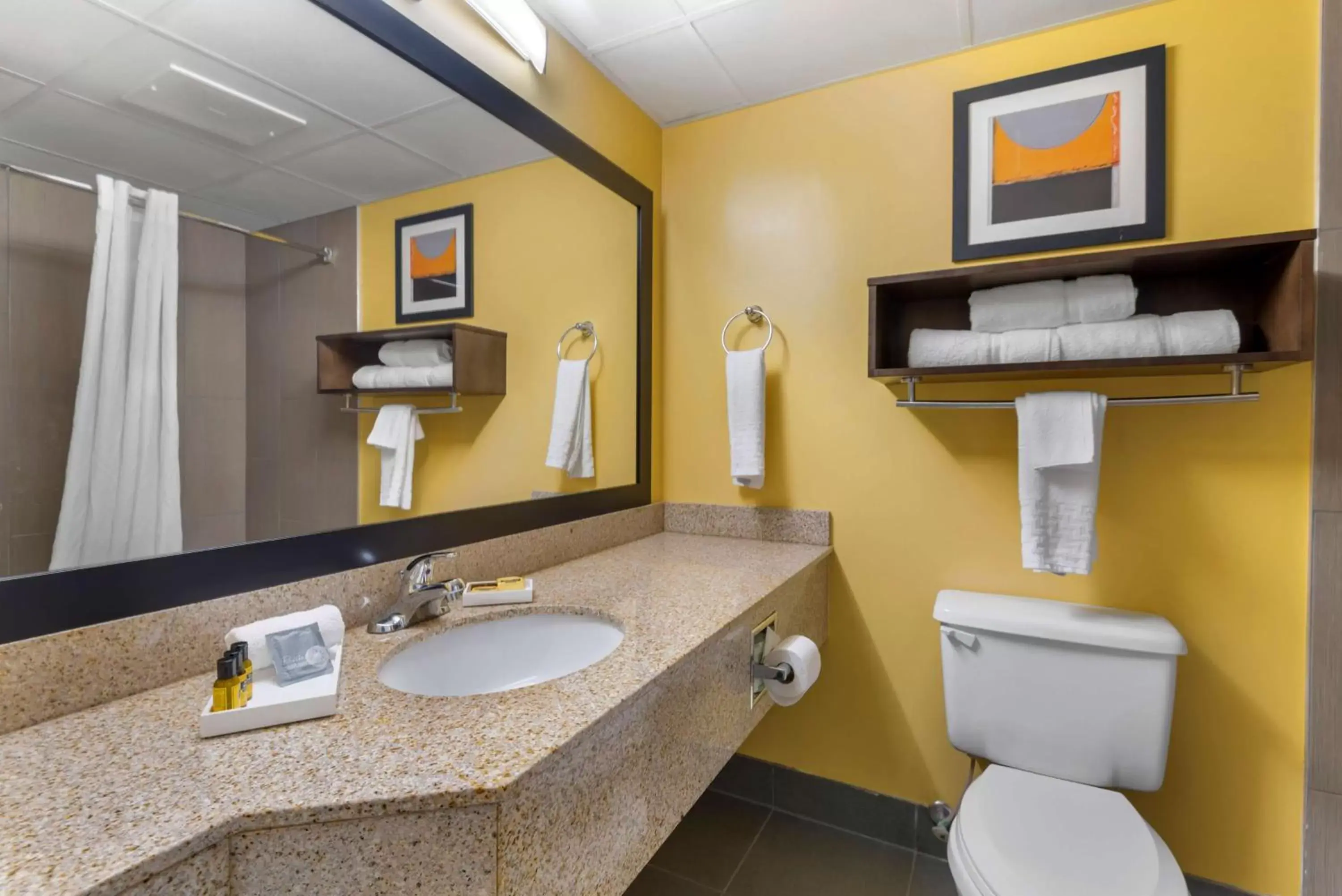 Bathroom in Best Western Plus Suites Greenville