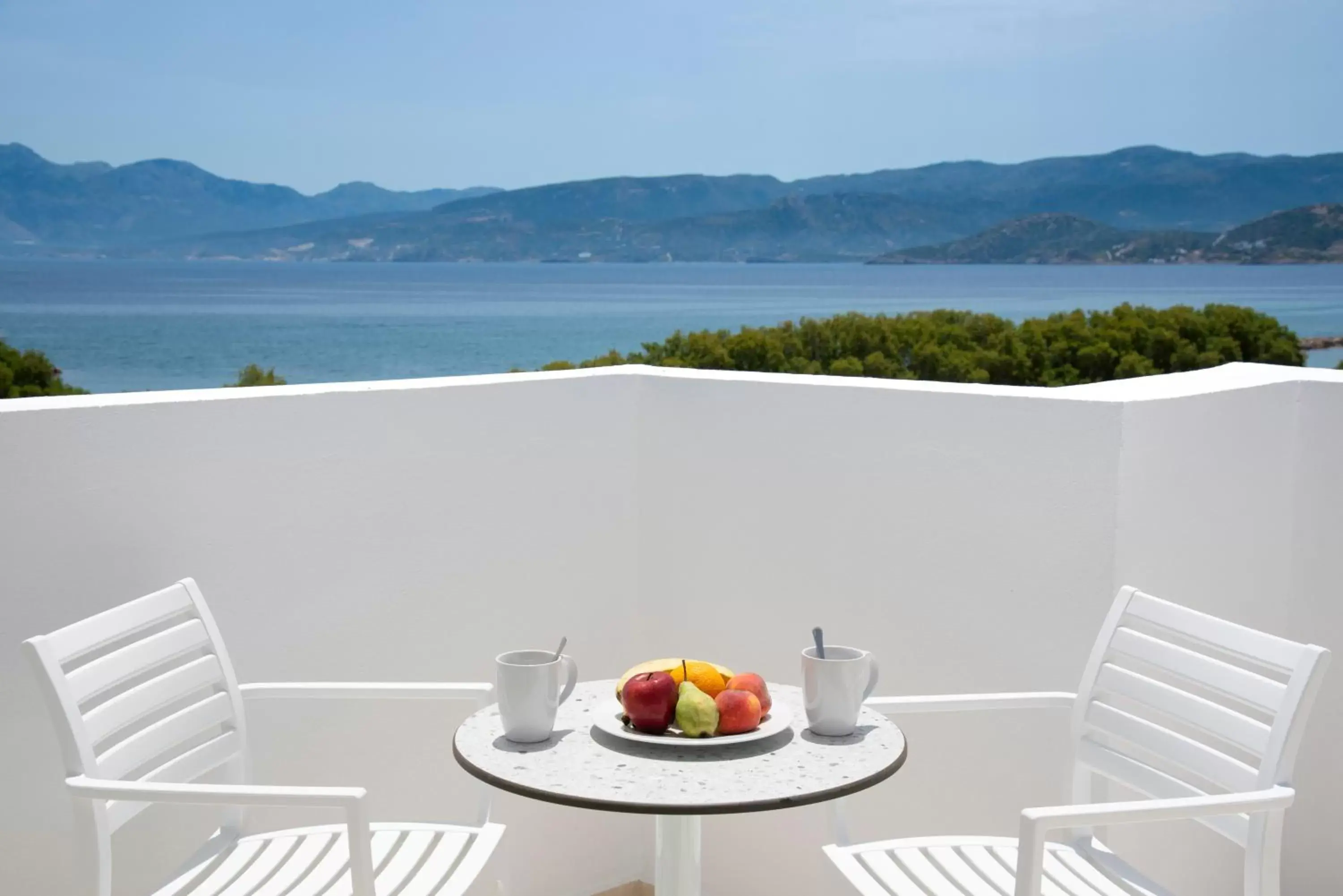 Balcony/Terrace in Naiades Marina Hotel