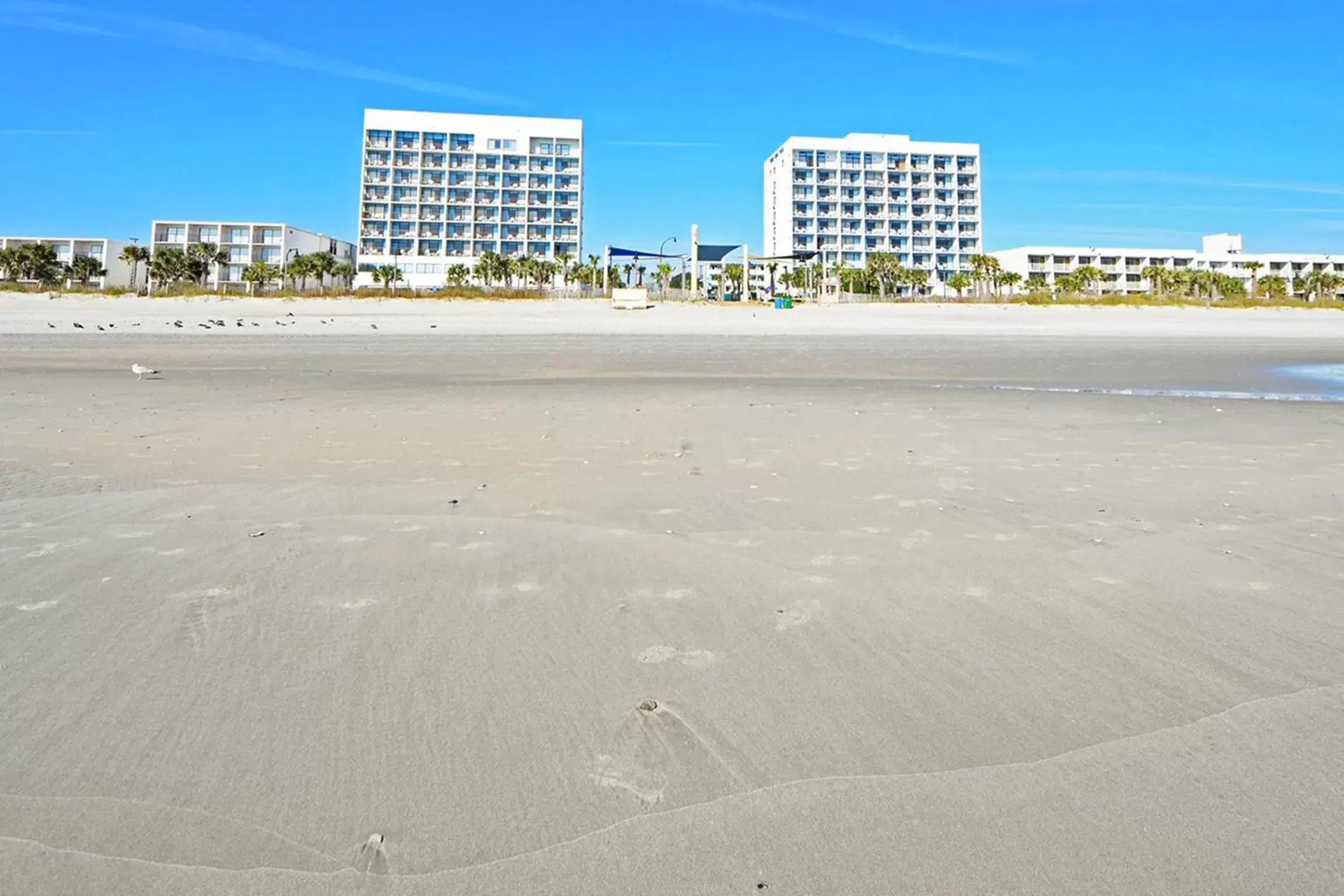 Property building in Holiday Sands North "On the Boardwalk" Property building in Holiday Sands North "On the Boardwalk"