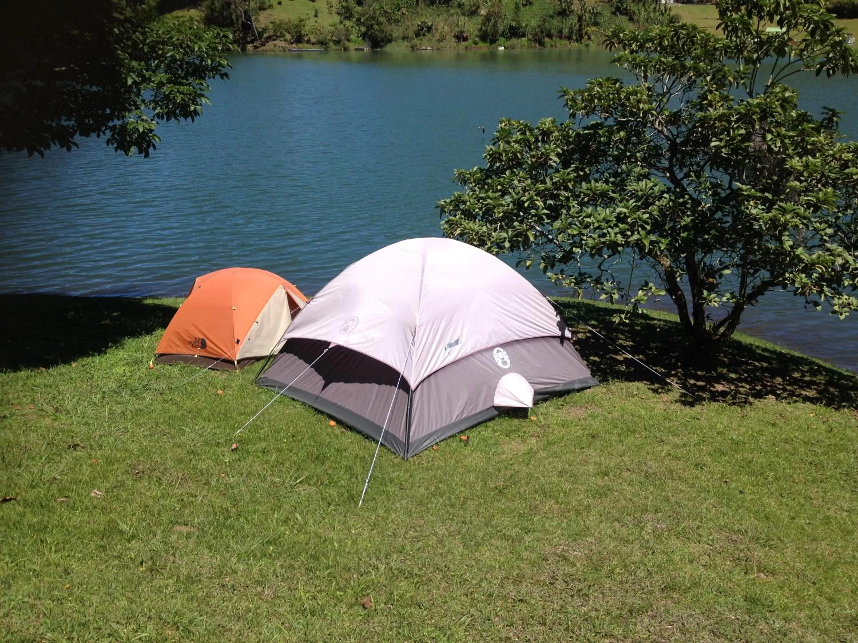 Garden in Casa finca típica the lake hotel