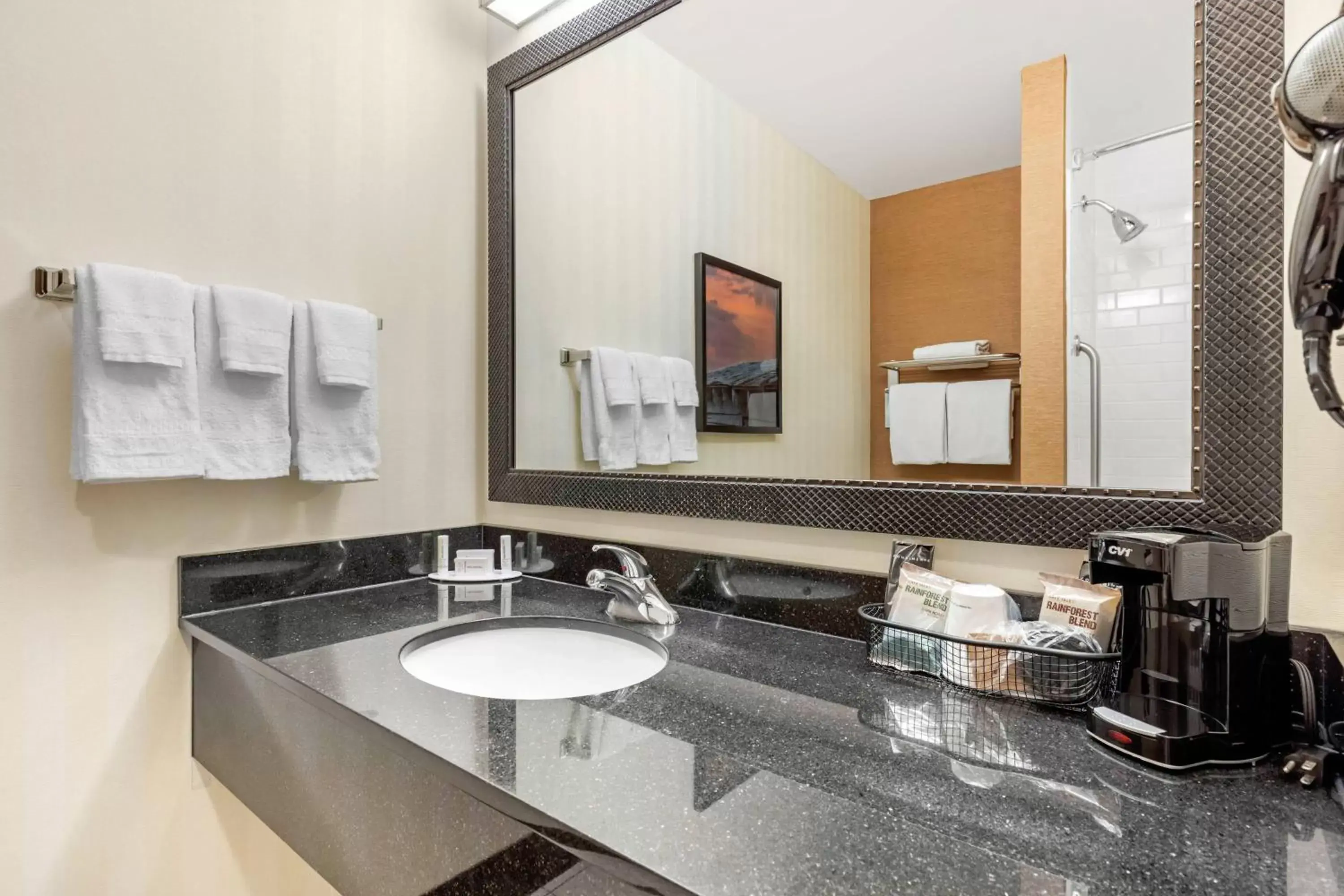 Bathroom in Fairfield Inn & Suites by Marriott Rockford