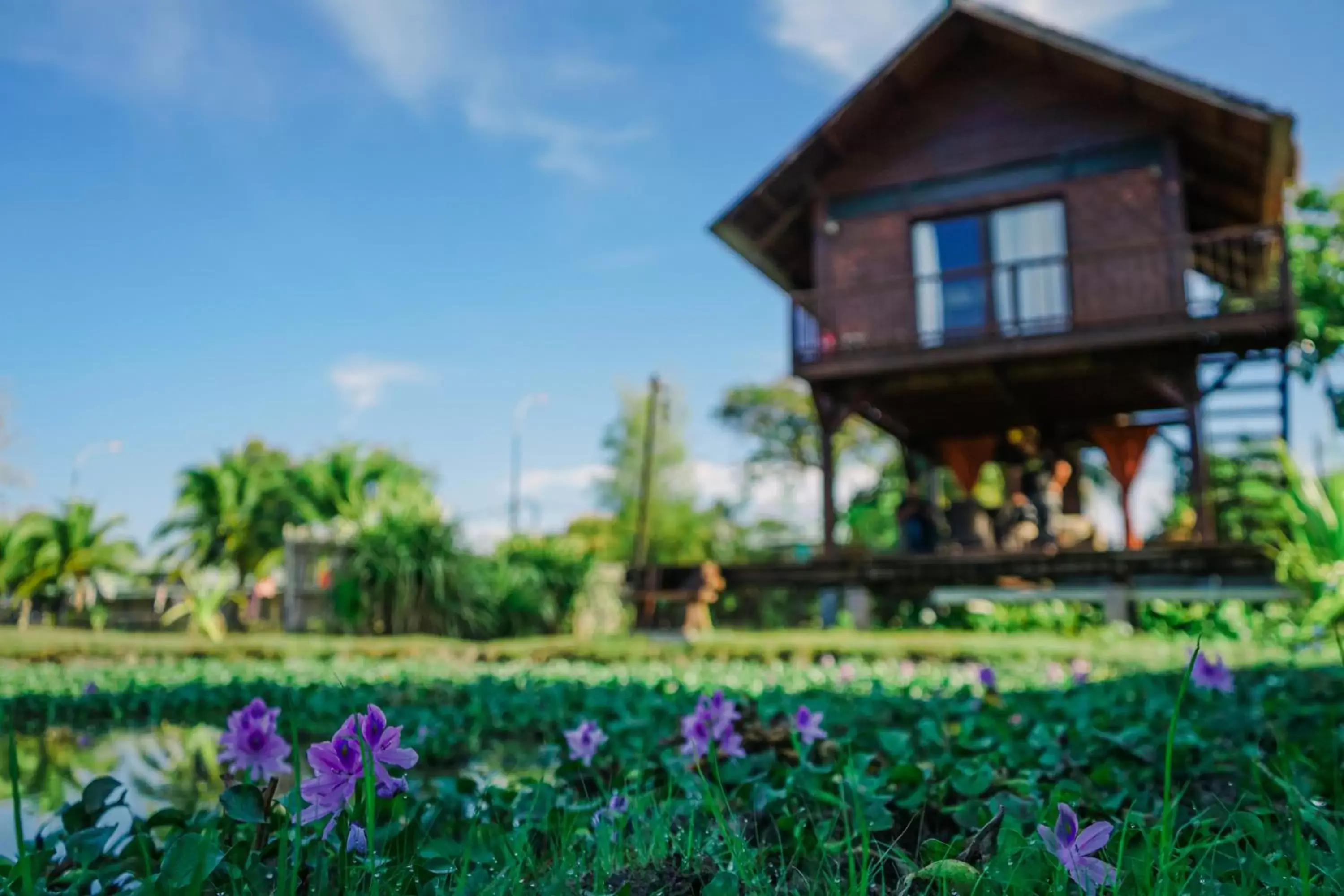 Garden, Property Building in The Gemalai Village