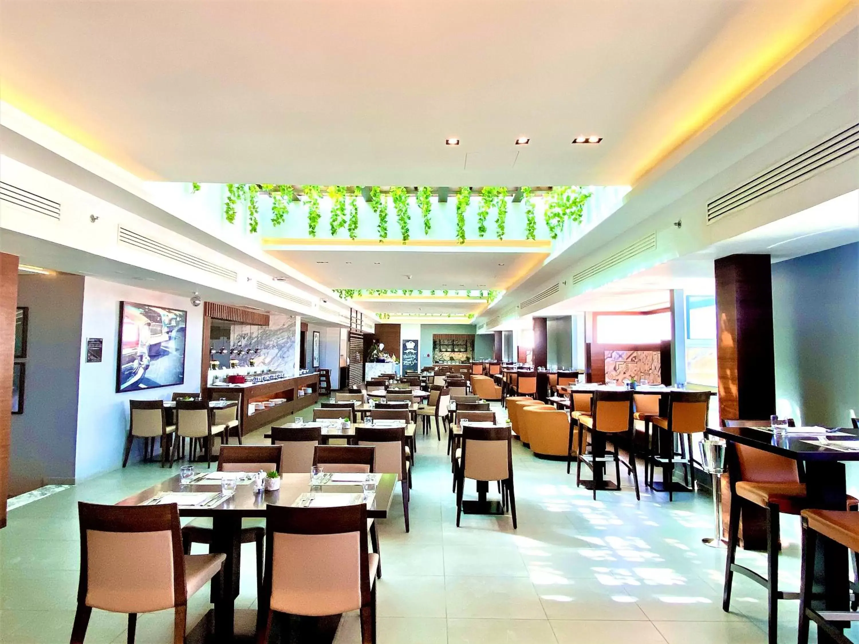 Restaurant/Places to Eat in Millennium Hotel Doha