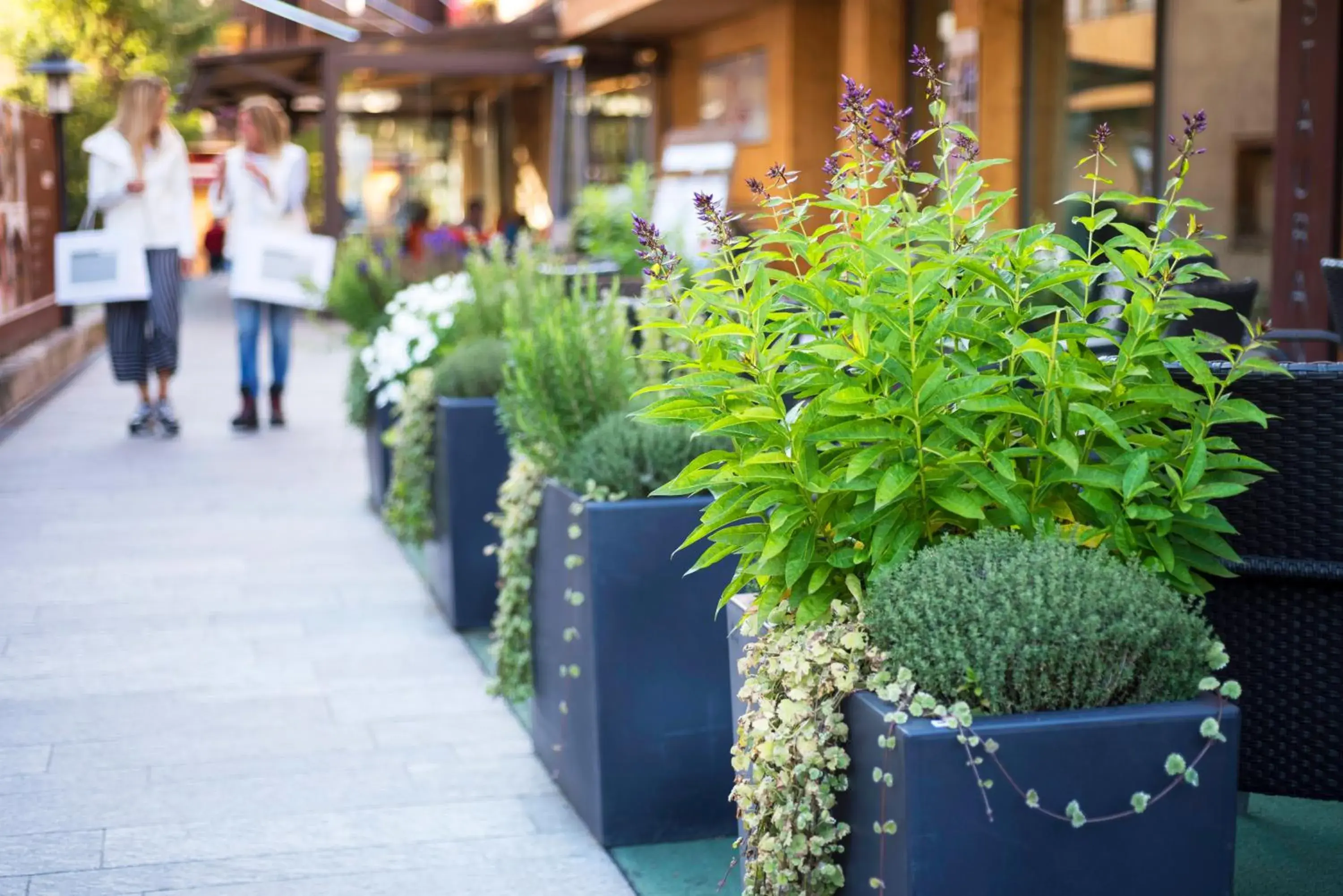 Spring in Hotel Concordia