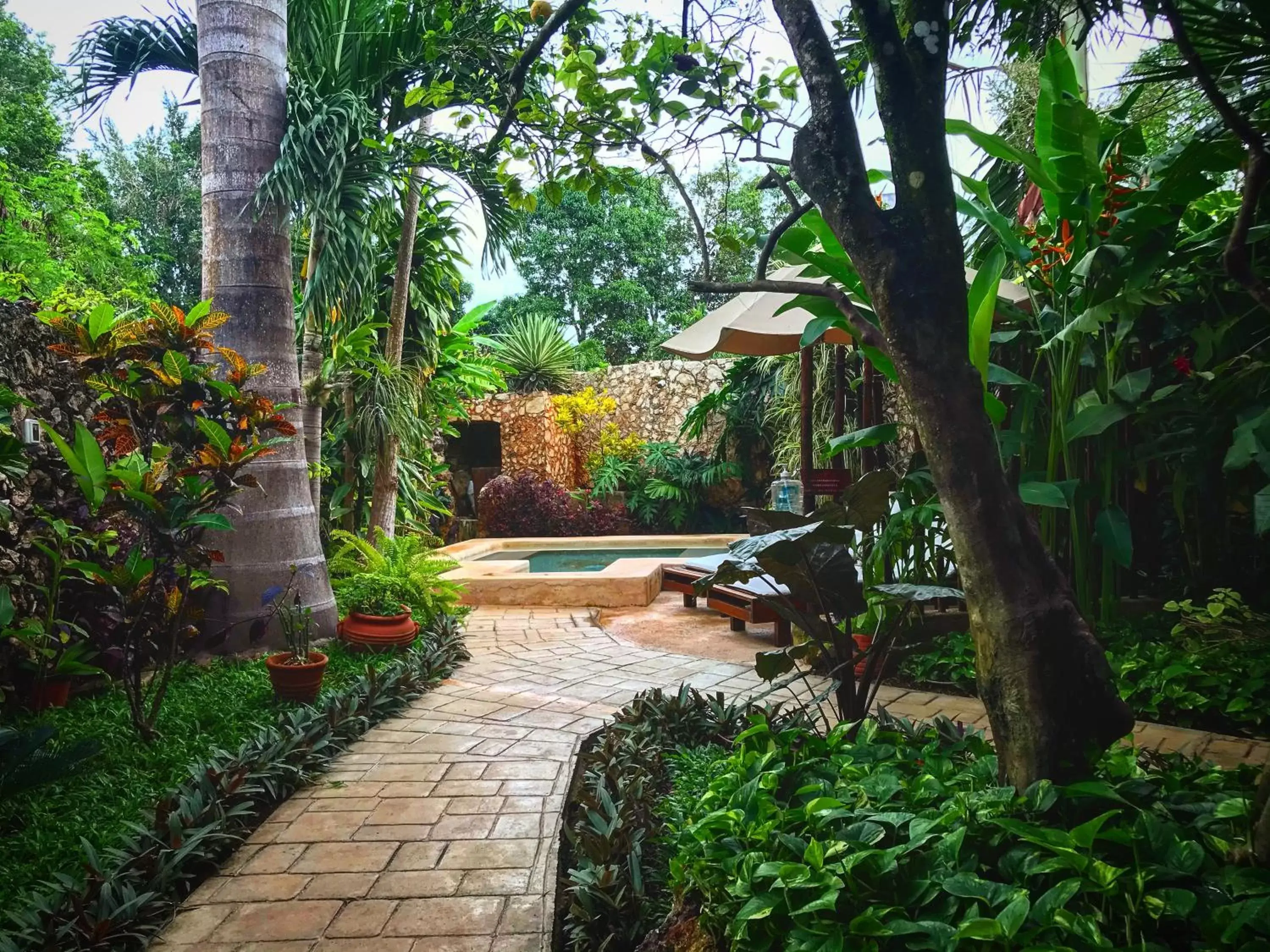 Garden in Casa Tia Micha