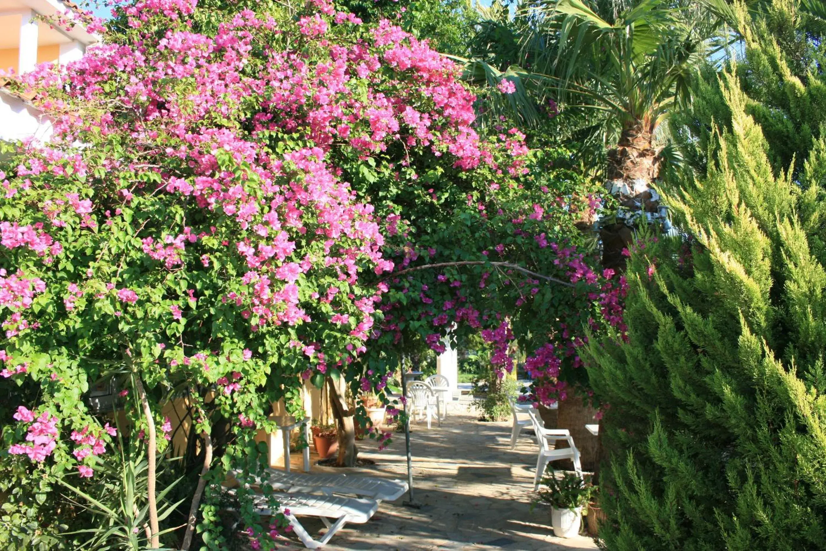 Patio in Metaxa Hotel