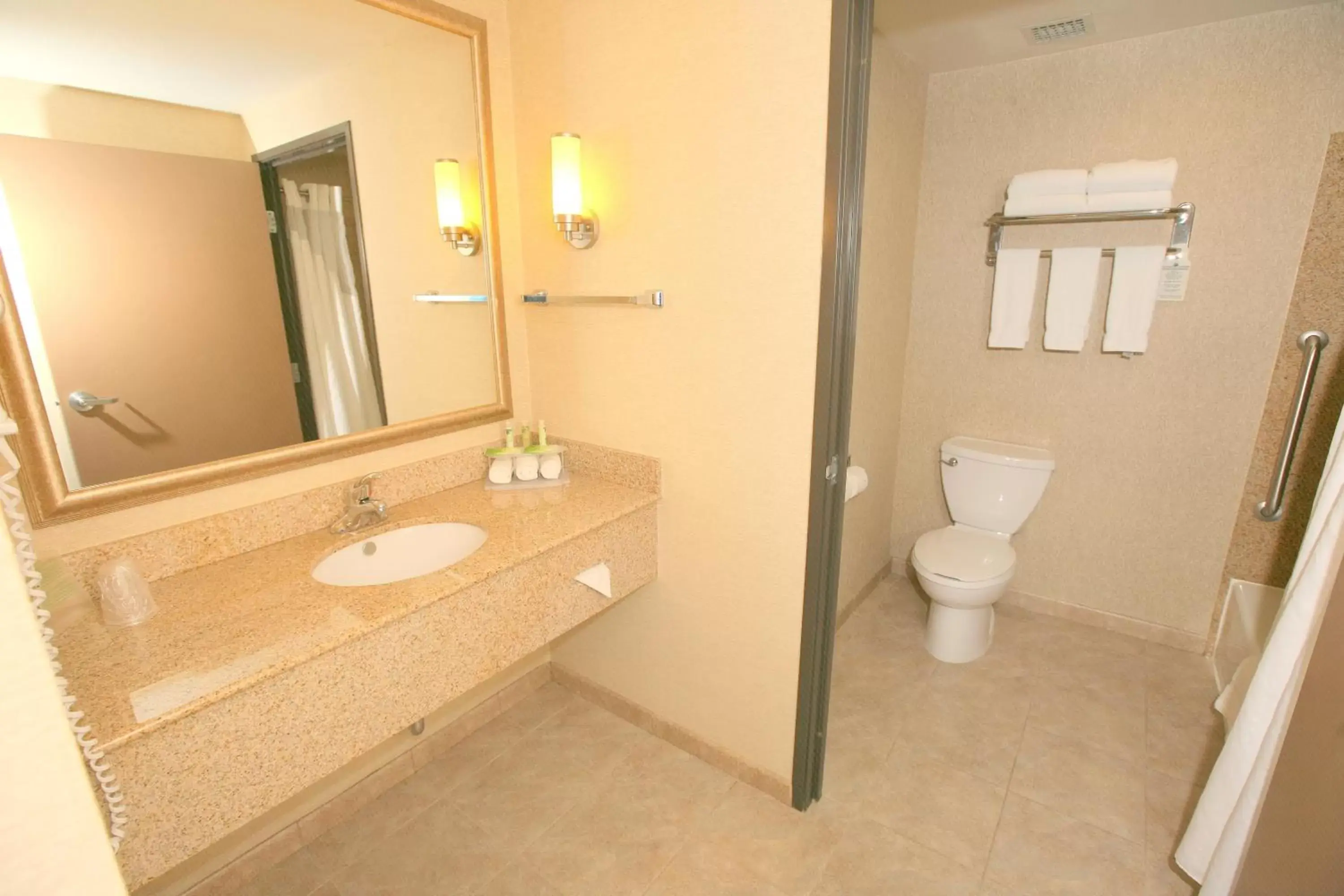 Bathroom in Holiday Inn Express San Diego South - Chula Vista, an IHG Hotel