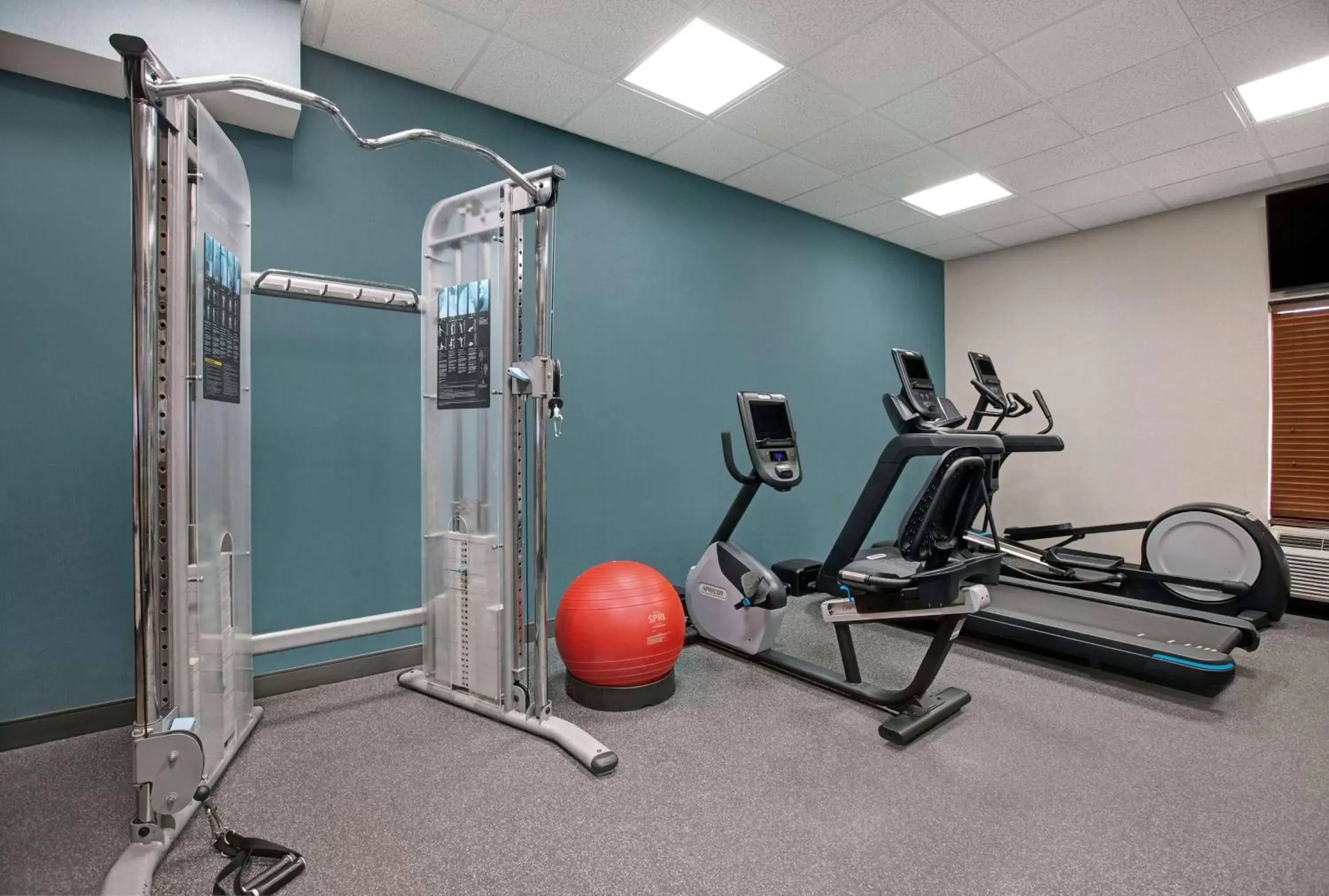 Fitness centre/facilities, Fitness Center/Facilities in Hampton Inn By Hilton Greenville Woodruff Road