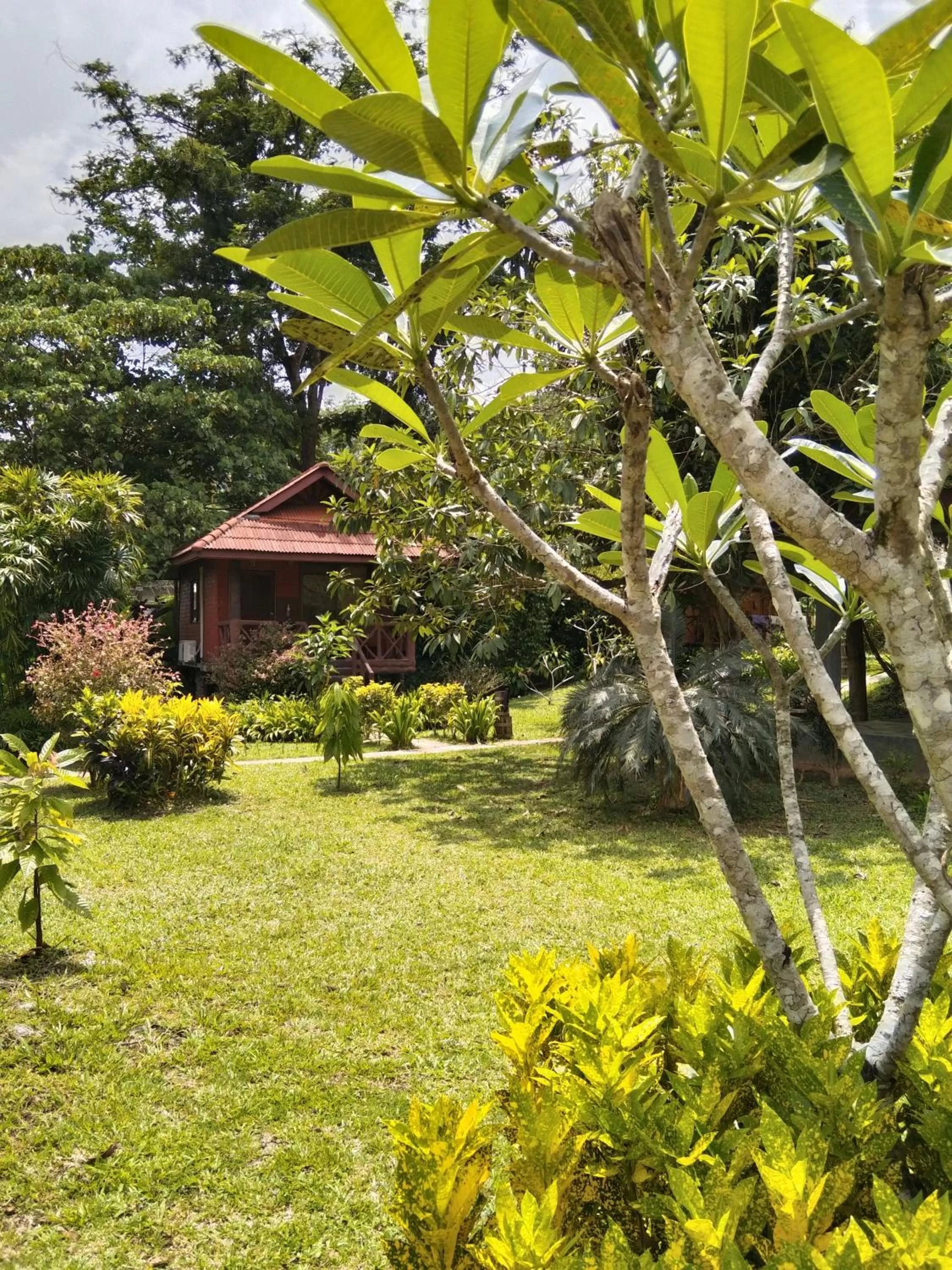 Property building in Khao Sok River & Jungle Resort