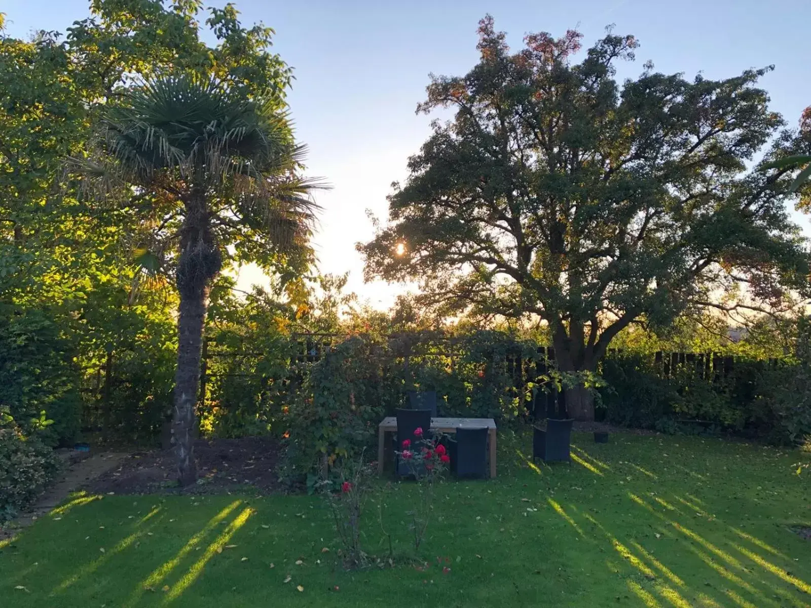 Garden view, Garden in B&B 't Pakhuis