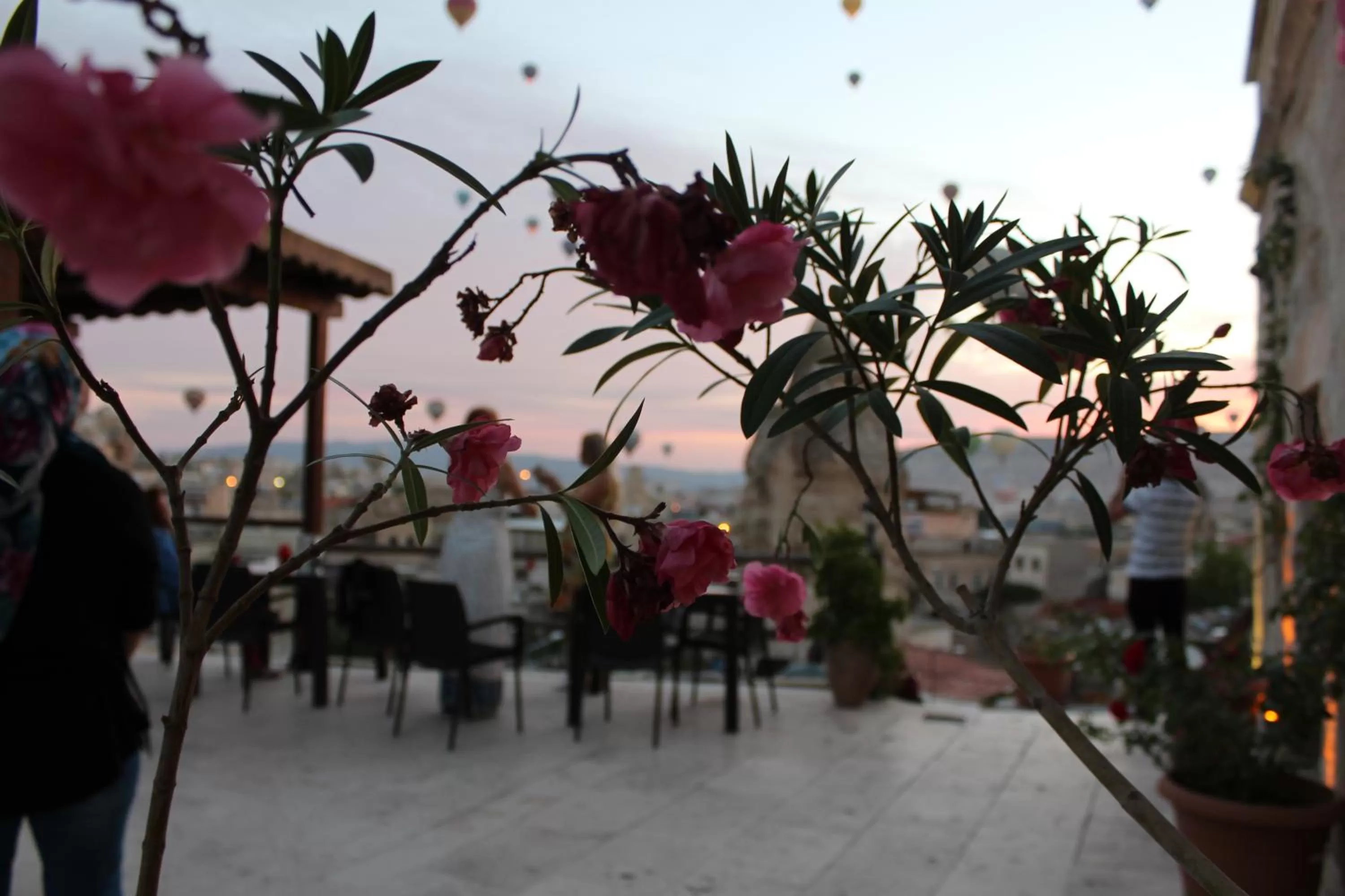 View (from property/room) in Shoestring Cave House