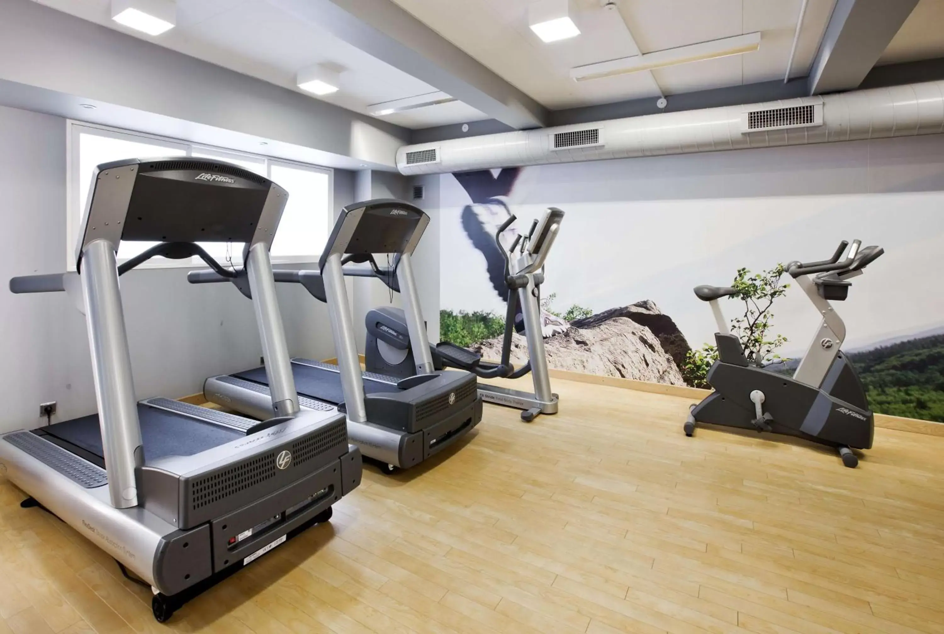 Activities, Fitness Center/Facilities in Scandic Palace Hotel