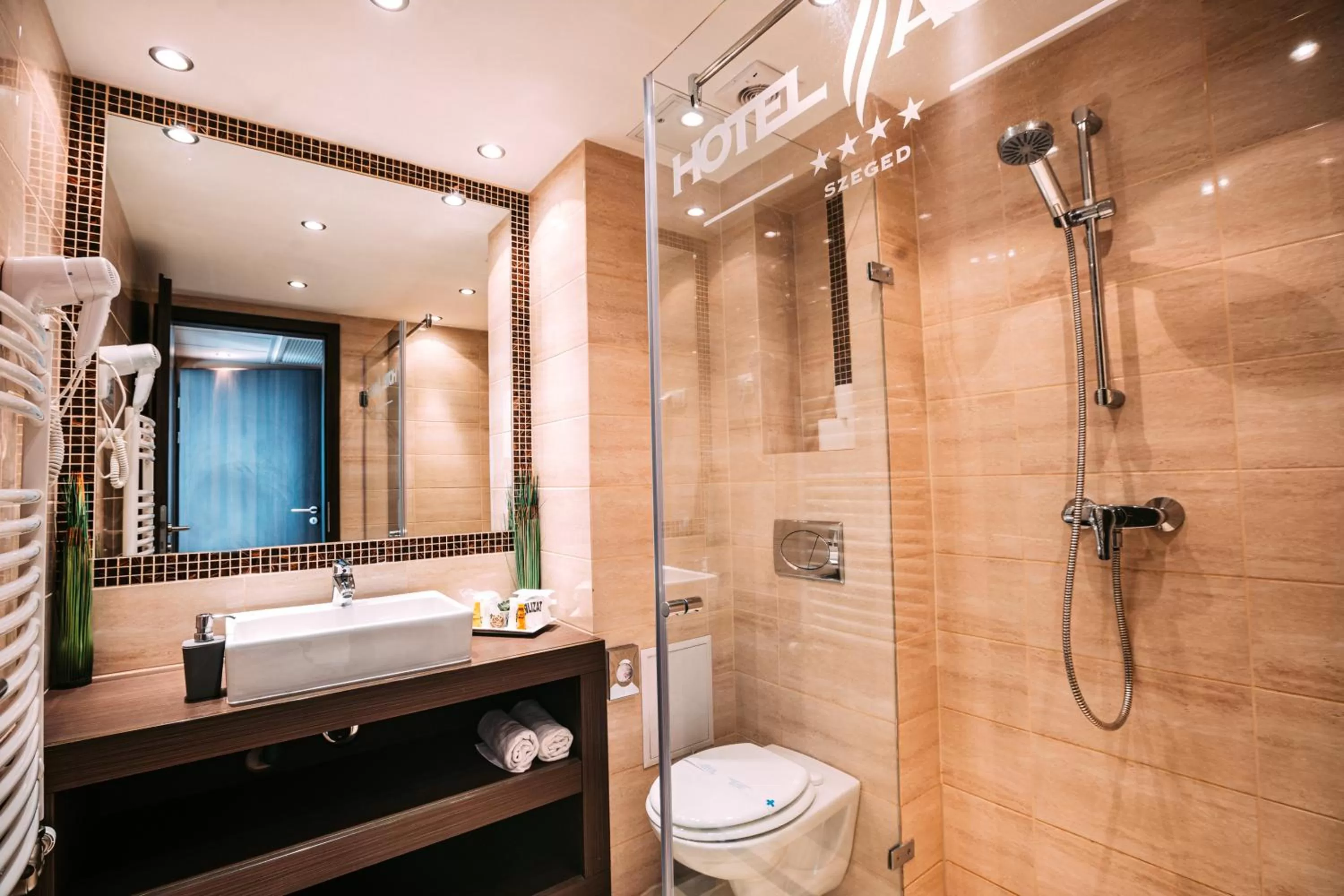 Bathroom in Hotel Auris