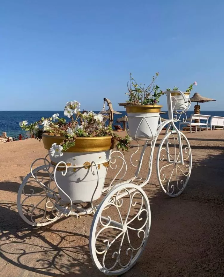 Beach in Monte Carlo Sharm Resort & Spa