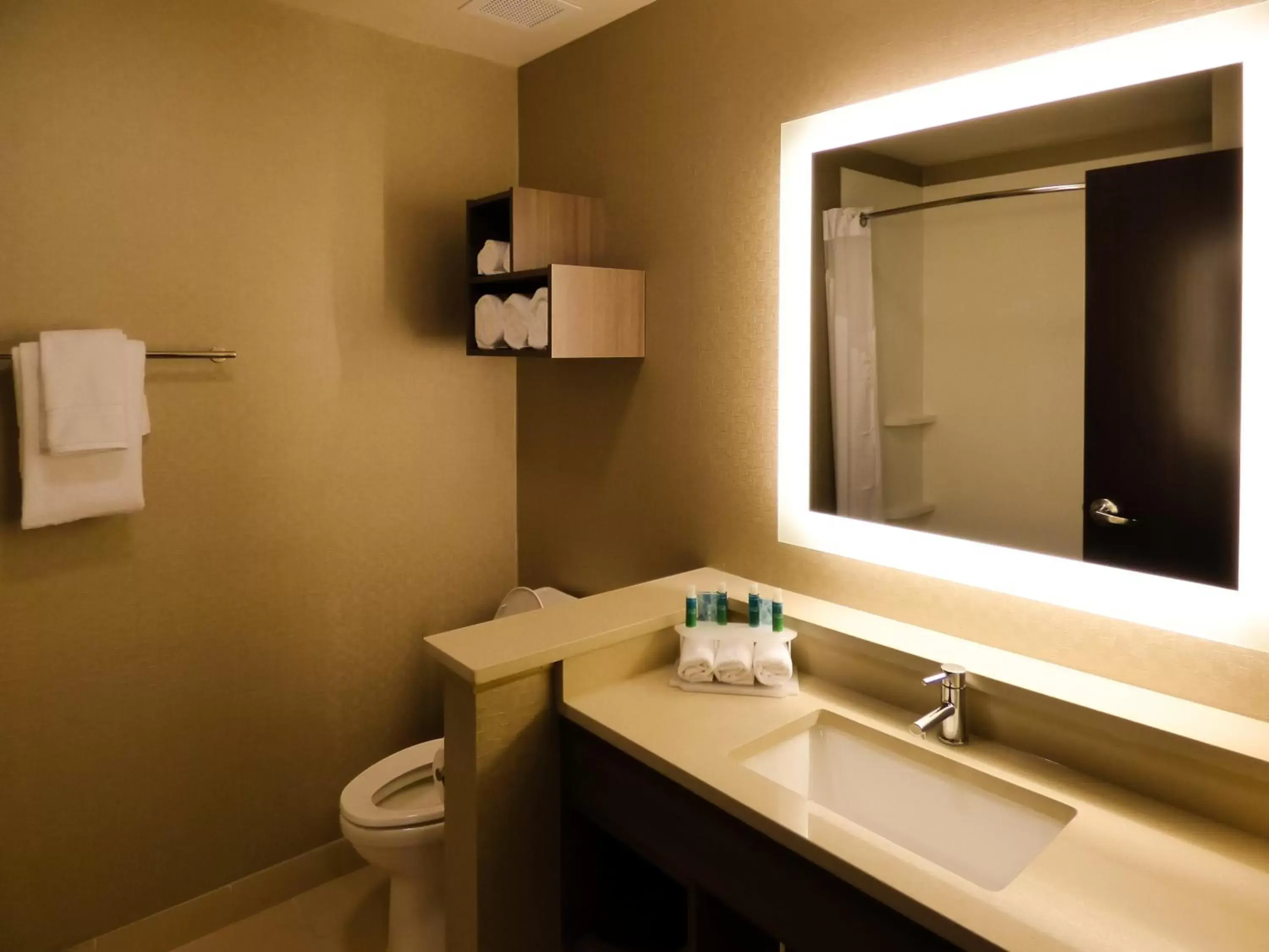 Bathroom in Holiday Inn Express & Suites Plymouth - Ann Arbor Area, an IHG Hotel