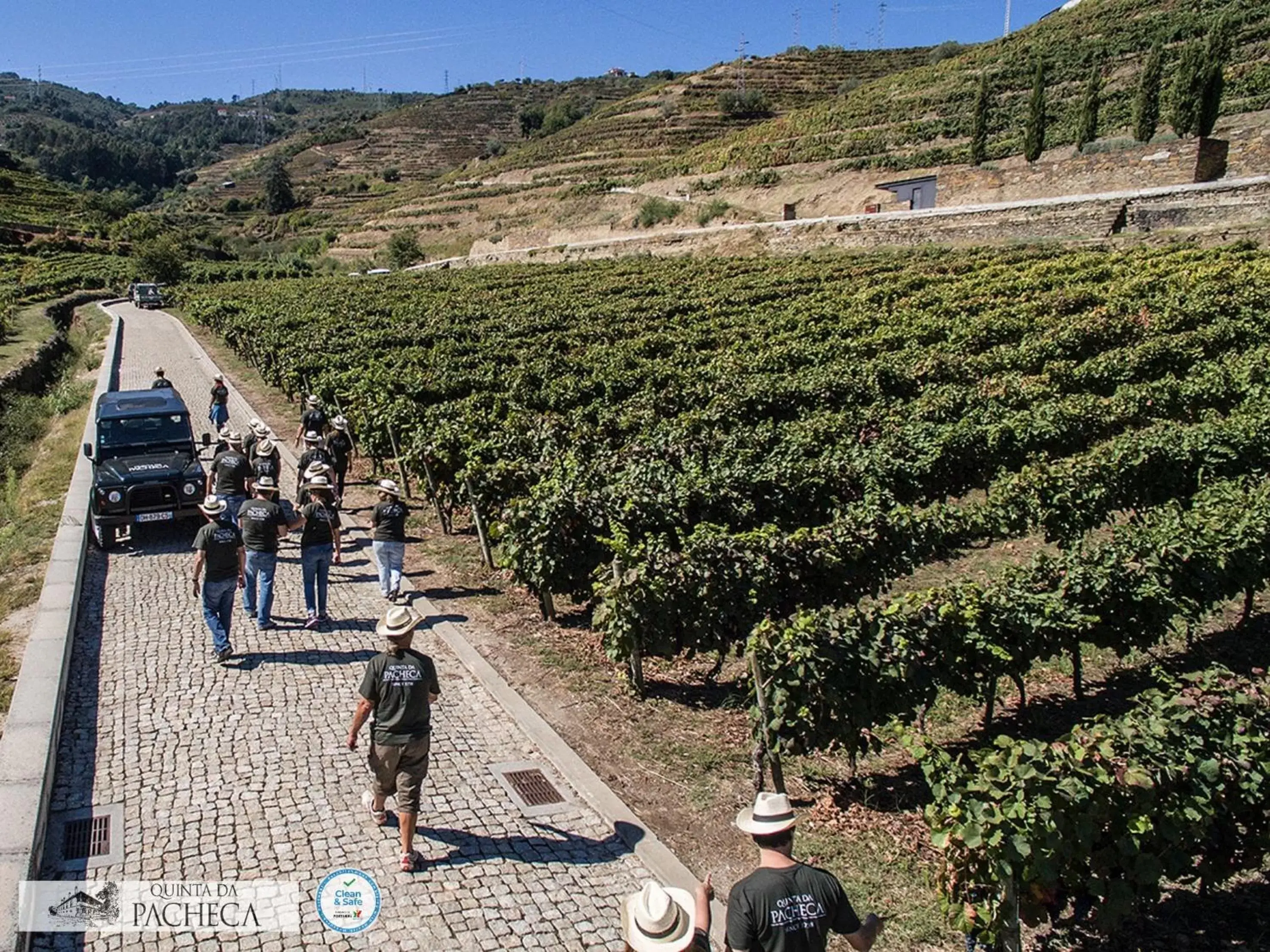 Activities in The Wine House Hotel - Quinta da Pacheca