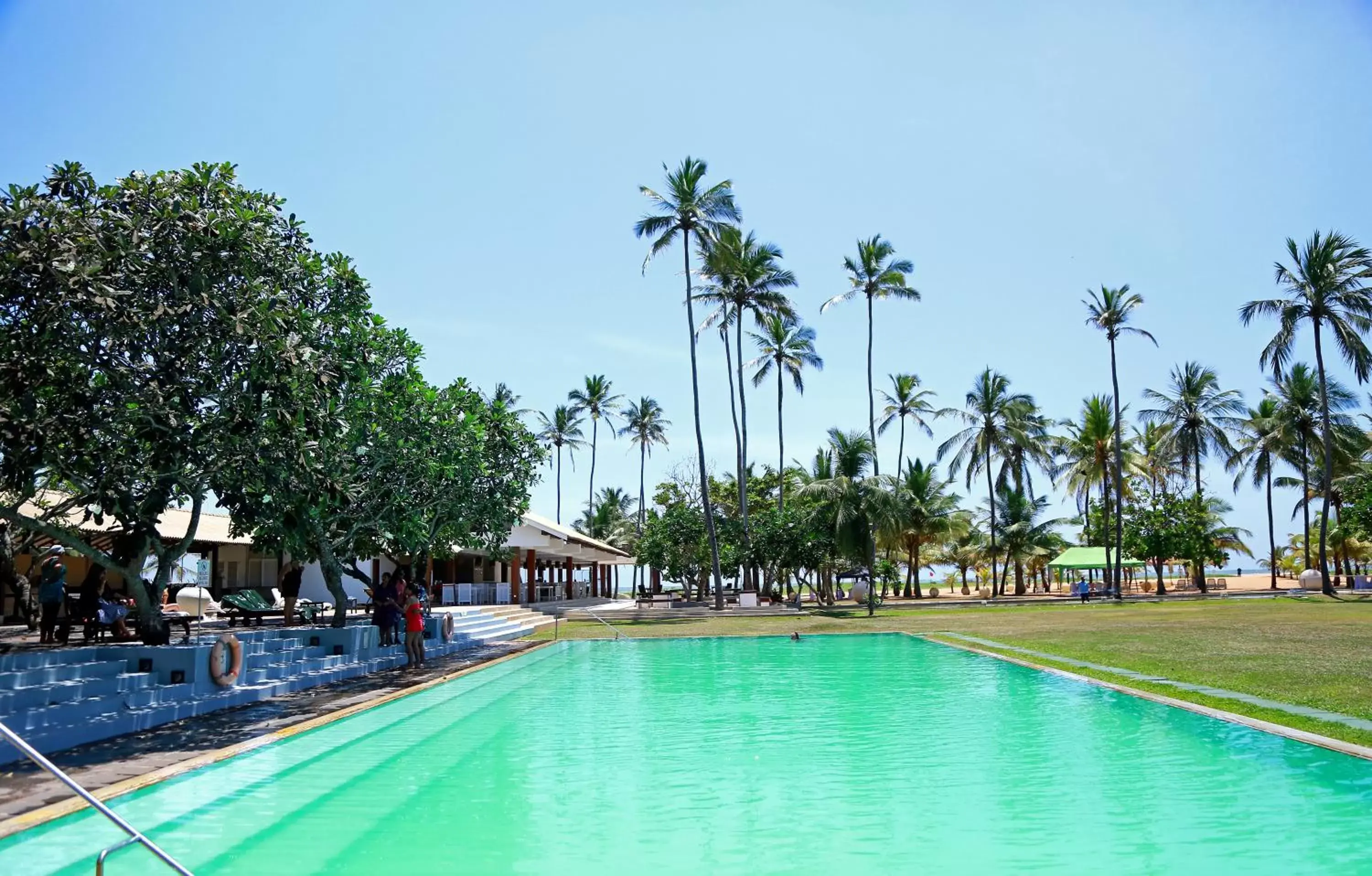 Garden, Swimming Pool in Pegasus Reef Hotel