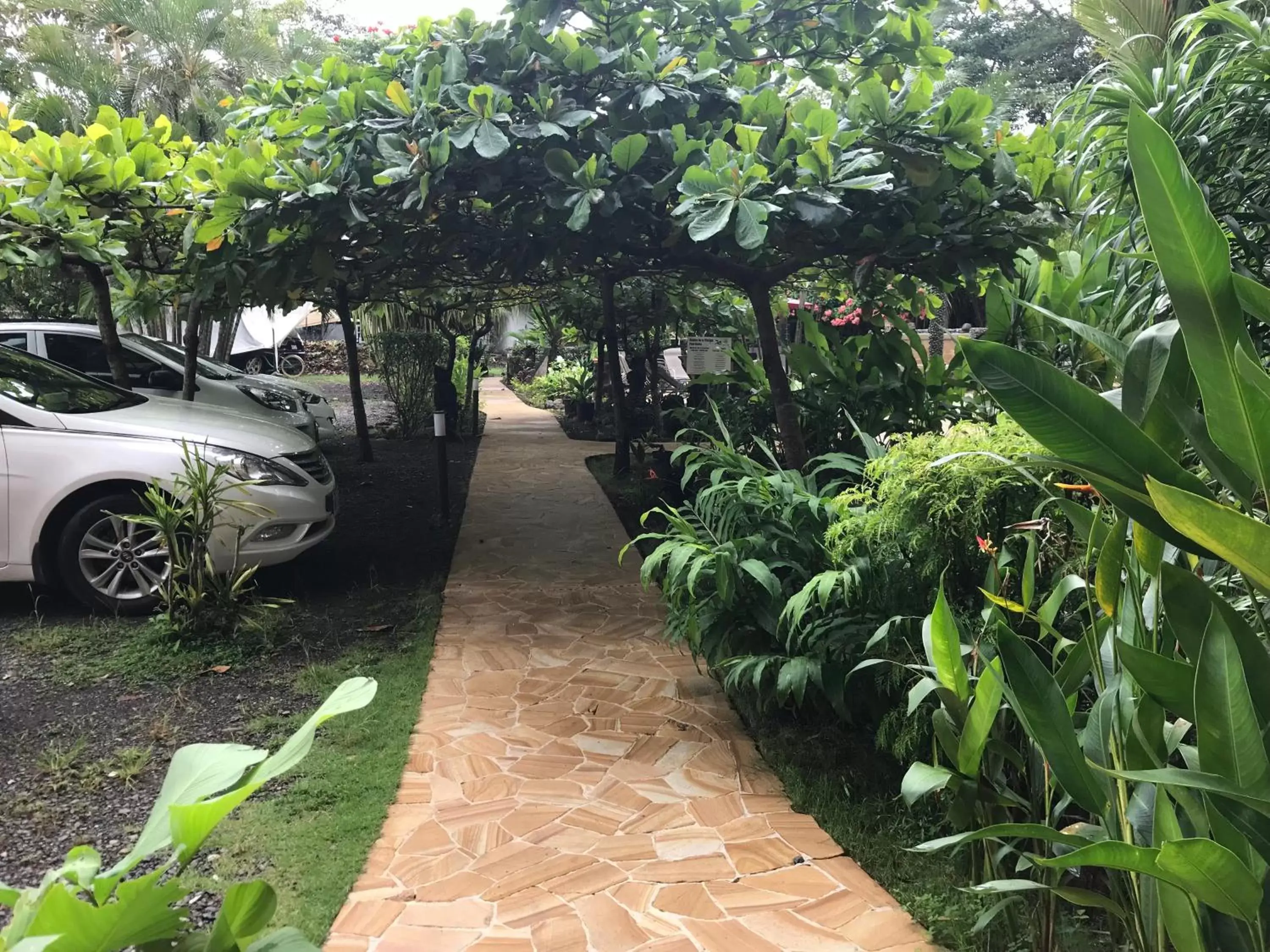 Facade/entrance, Garden in Pacifico Loft Hotel