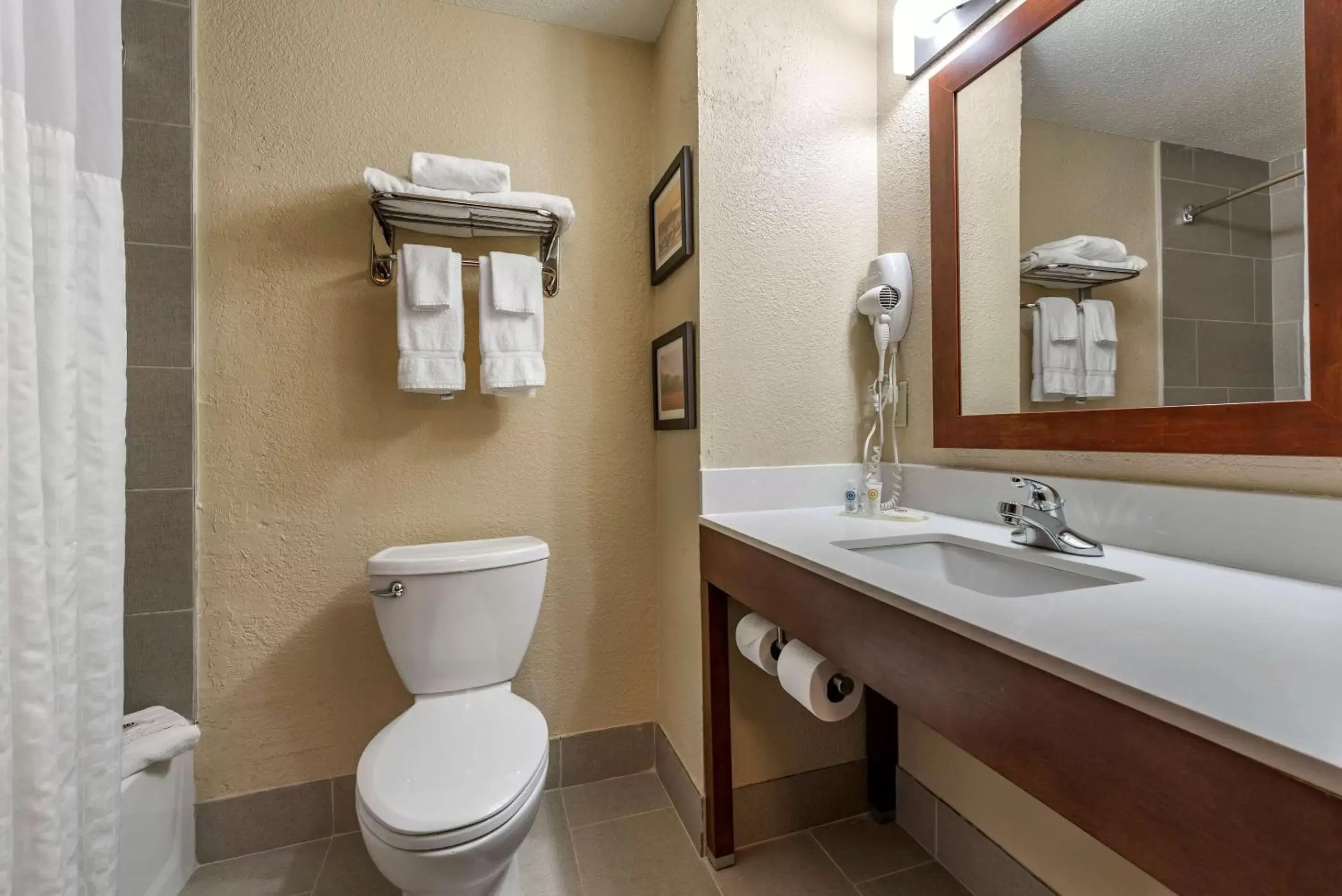 Bathroom in Comfort Inn Madison