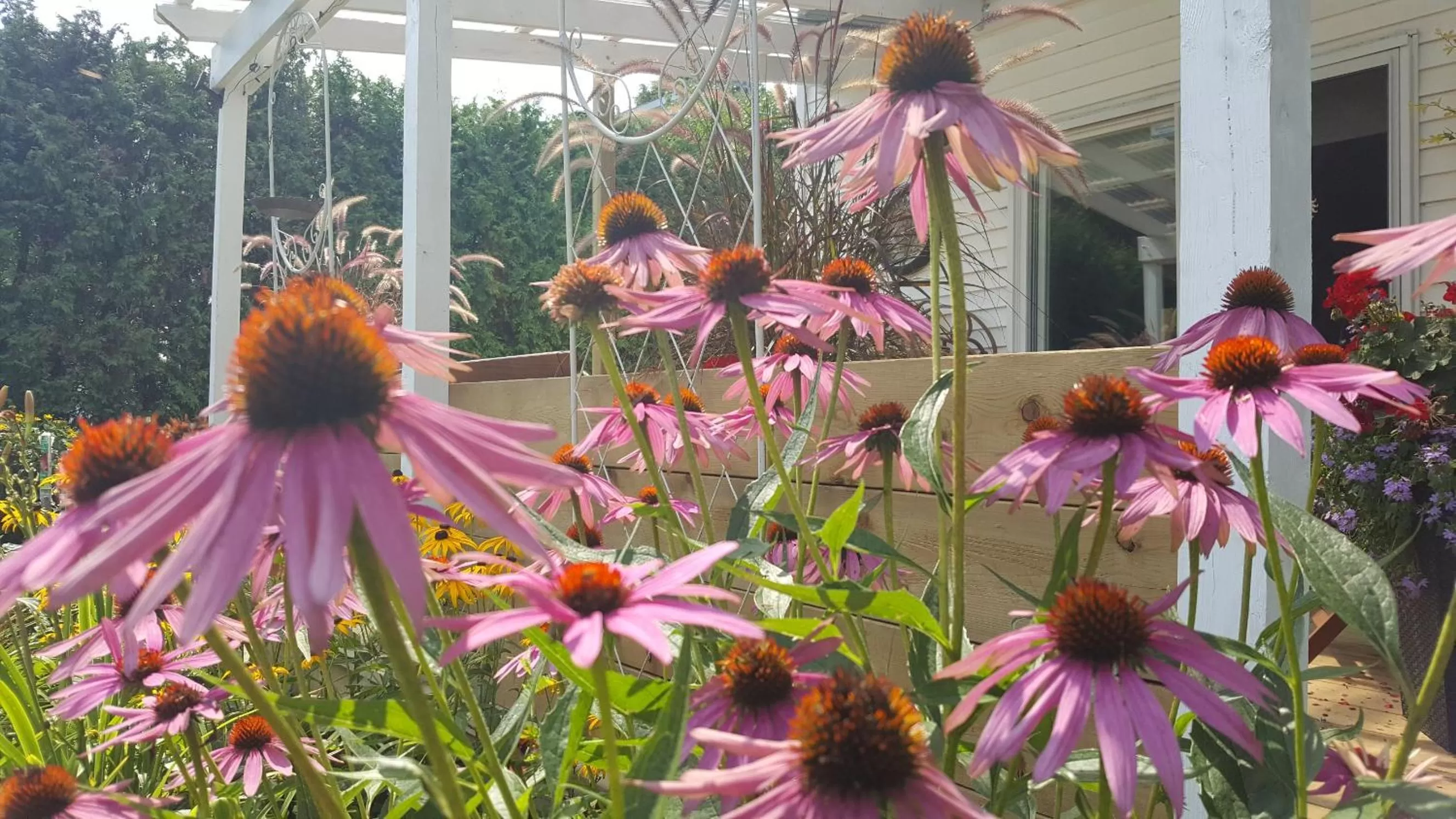 Atelier Galerie Anne Drouin Peinture & Pension