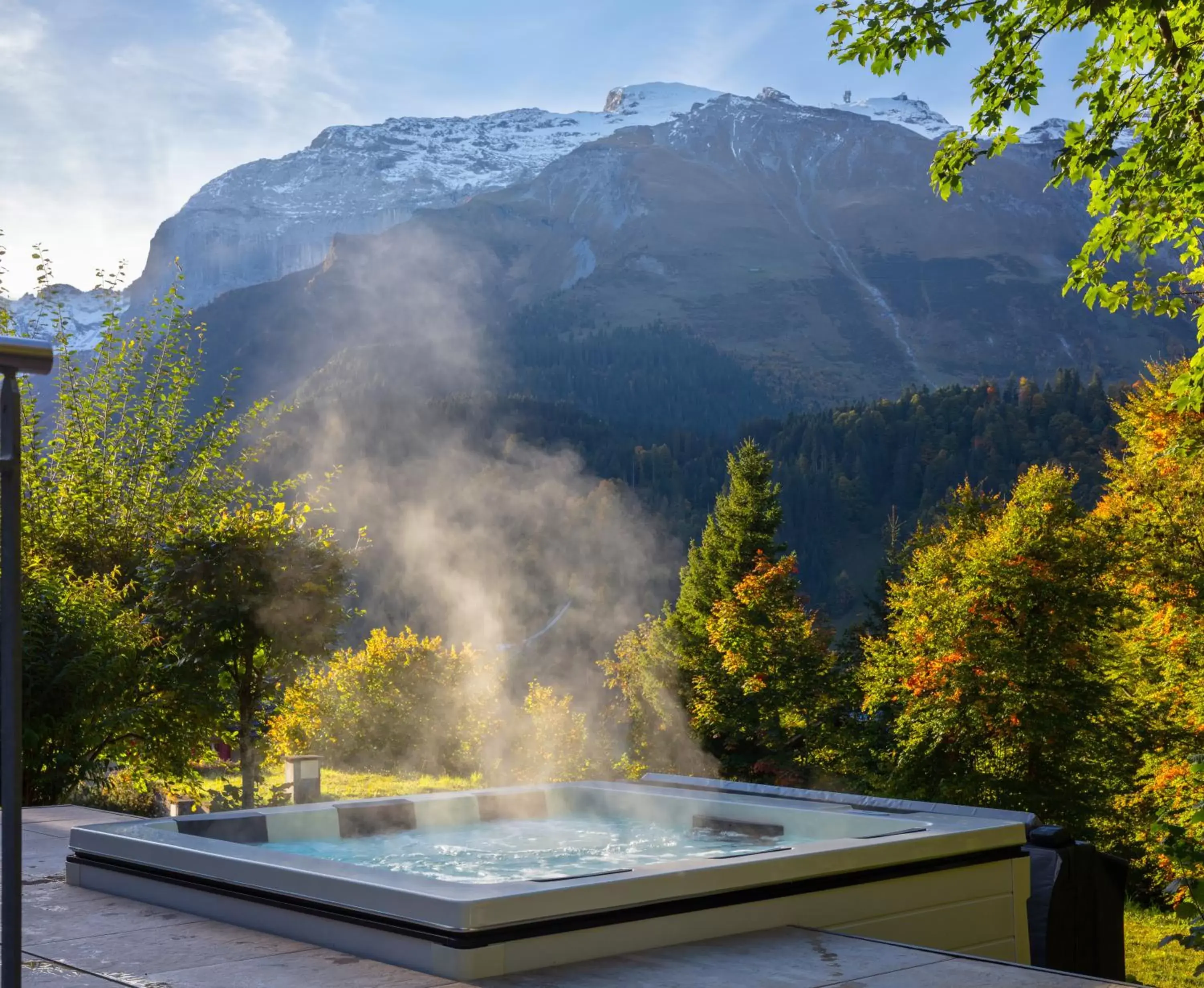 Hot Tub, Swimming Pool in Hotel Waldegg - Adults only