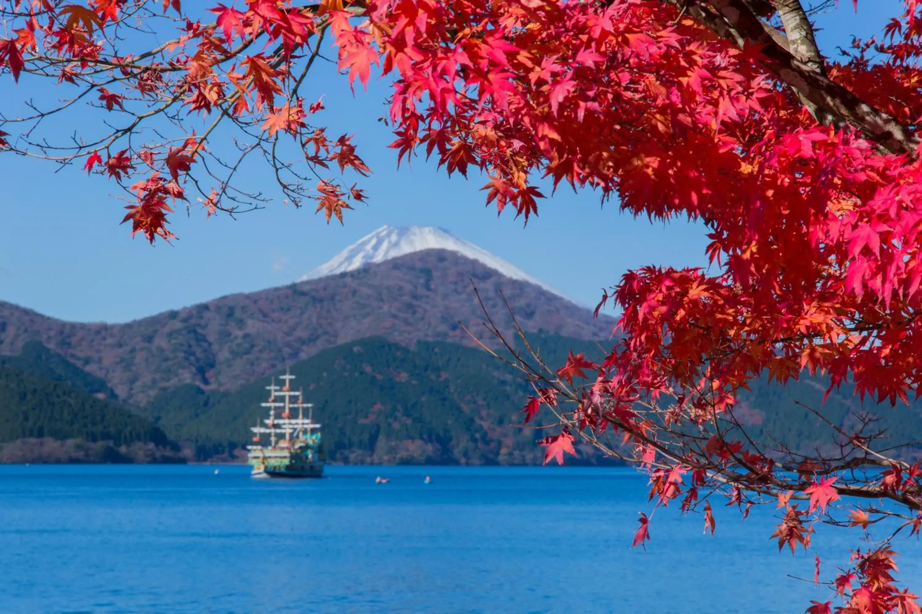 Natural landscape in Hakone Hotel